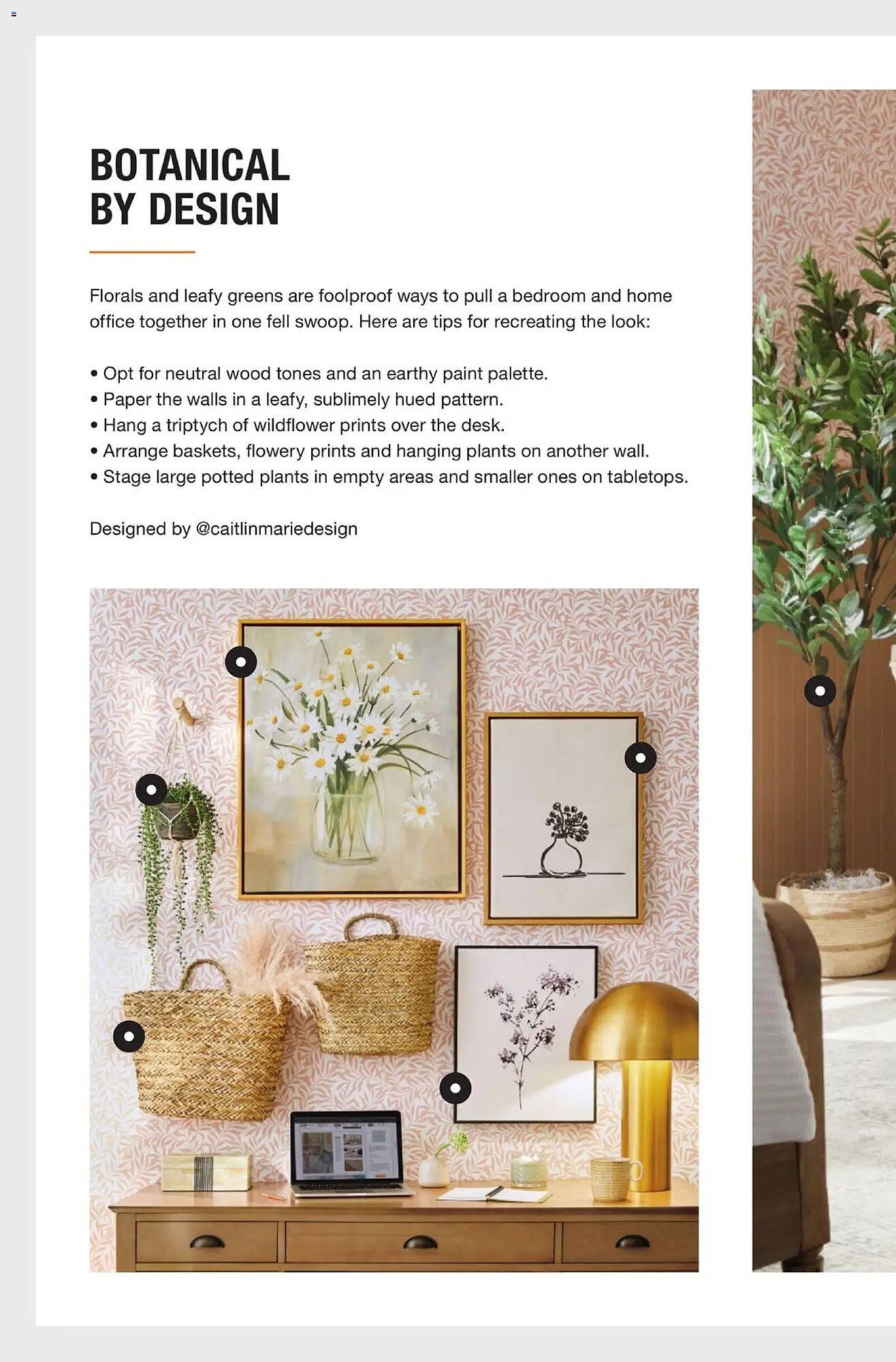 The Home Depot flyer