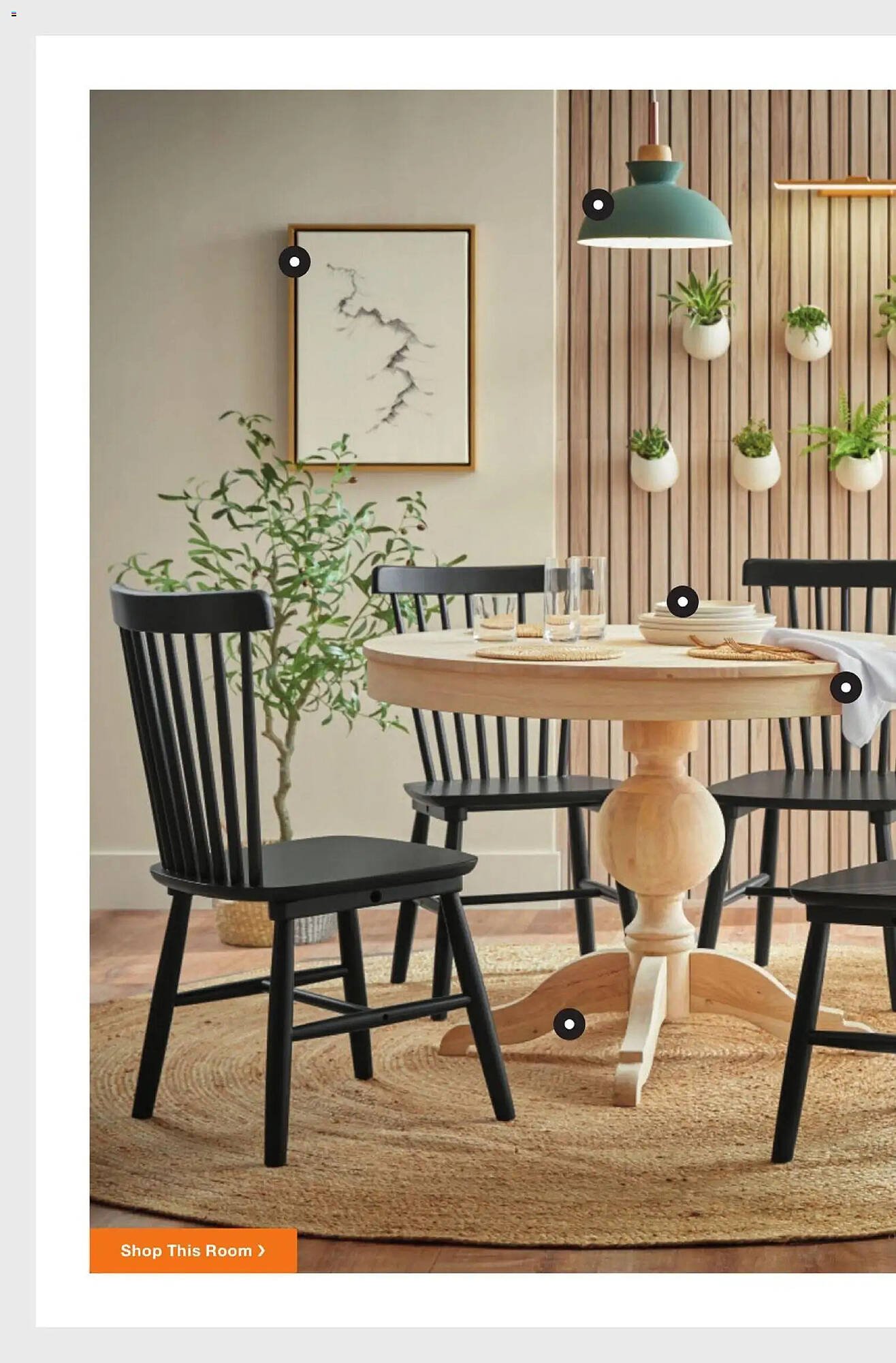 The Home Depot flyer