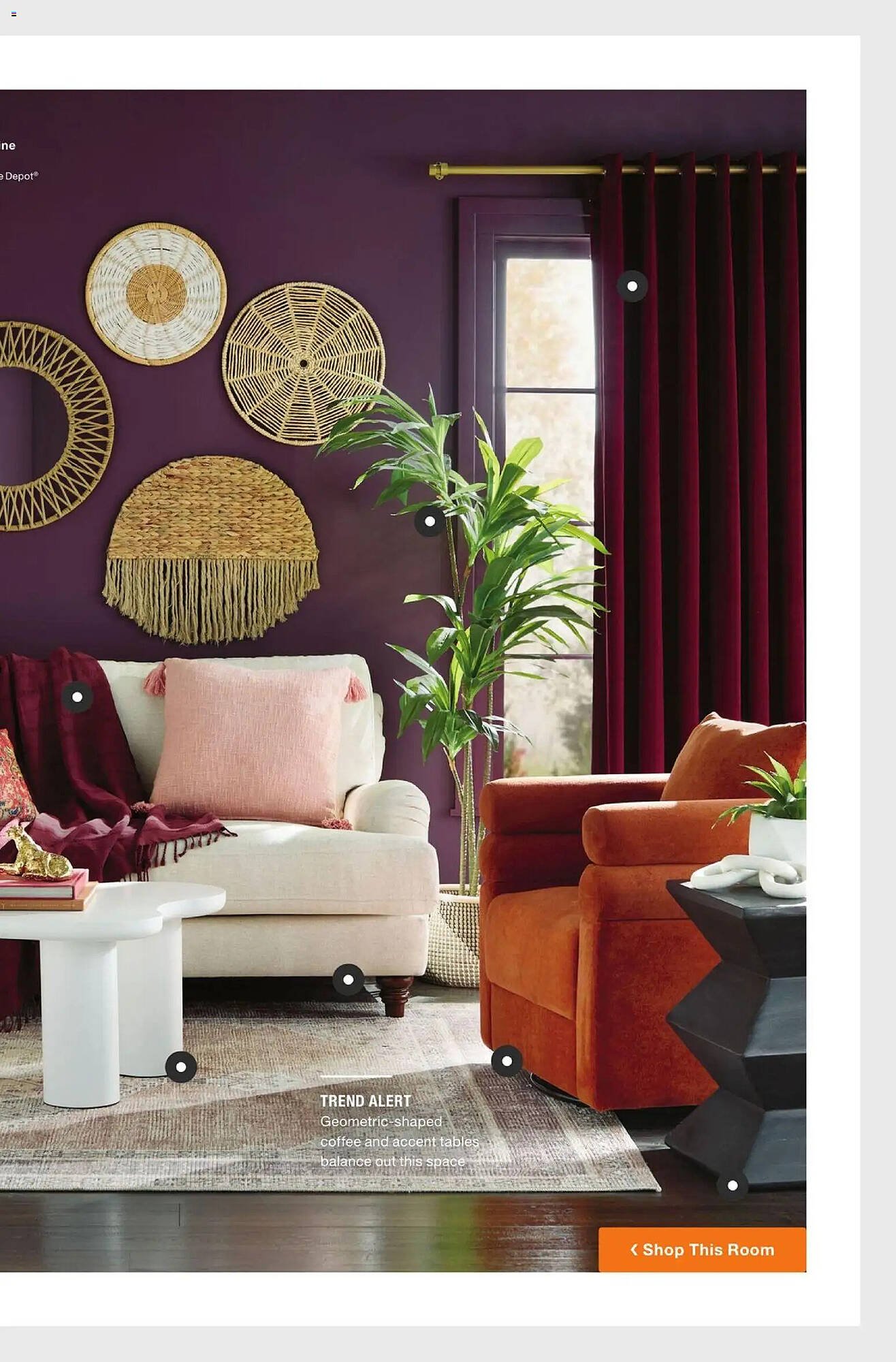 The Home Depot flyer