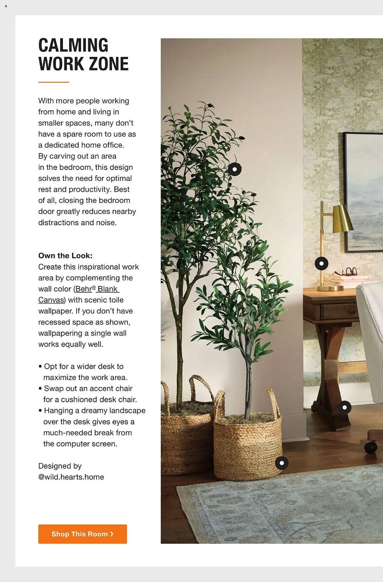 The Home Depot flyer