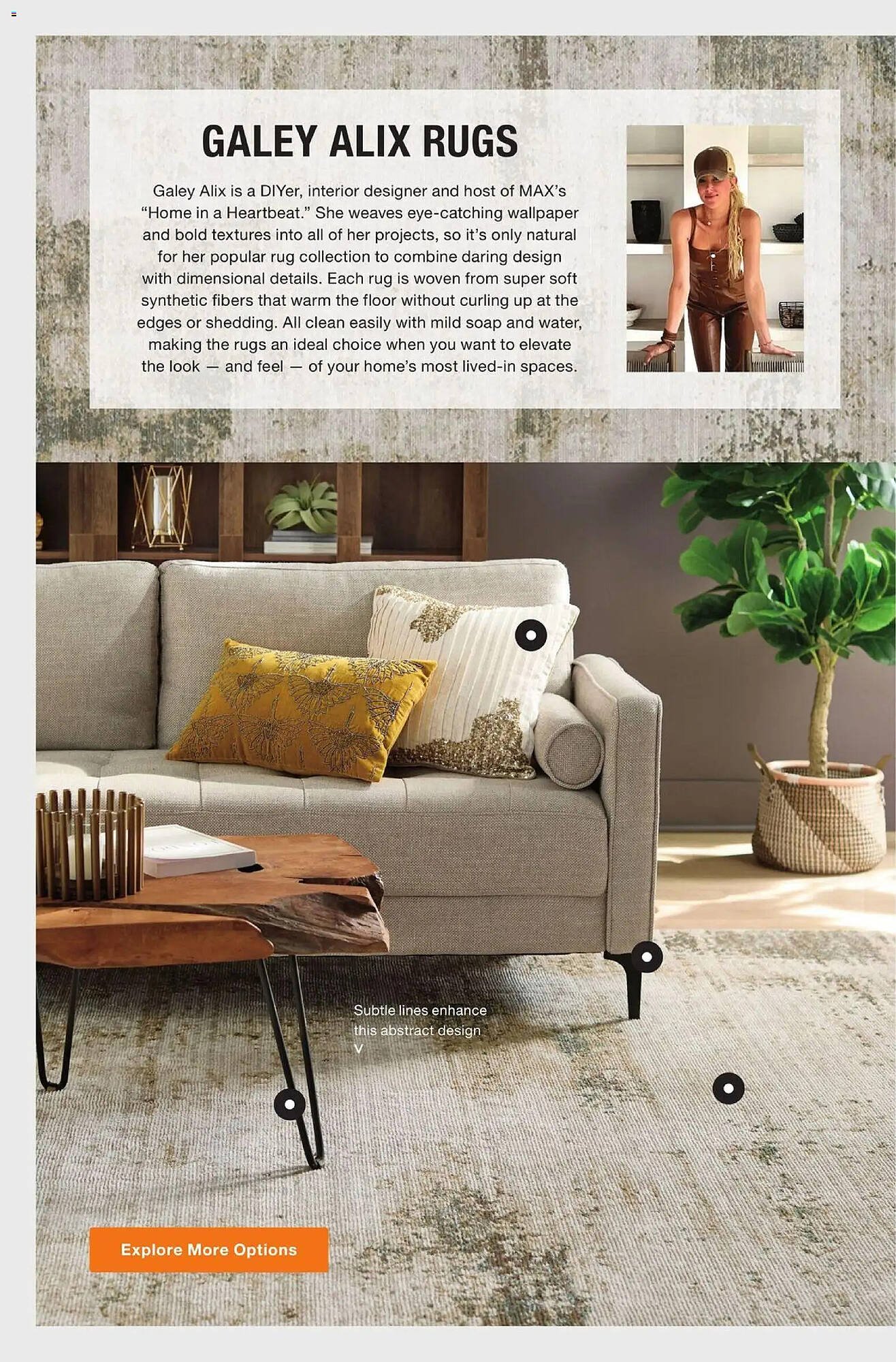 The Home Depot flyer