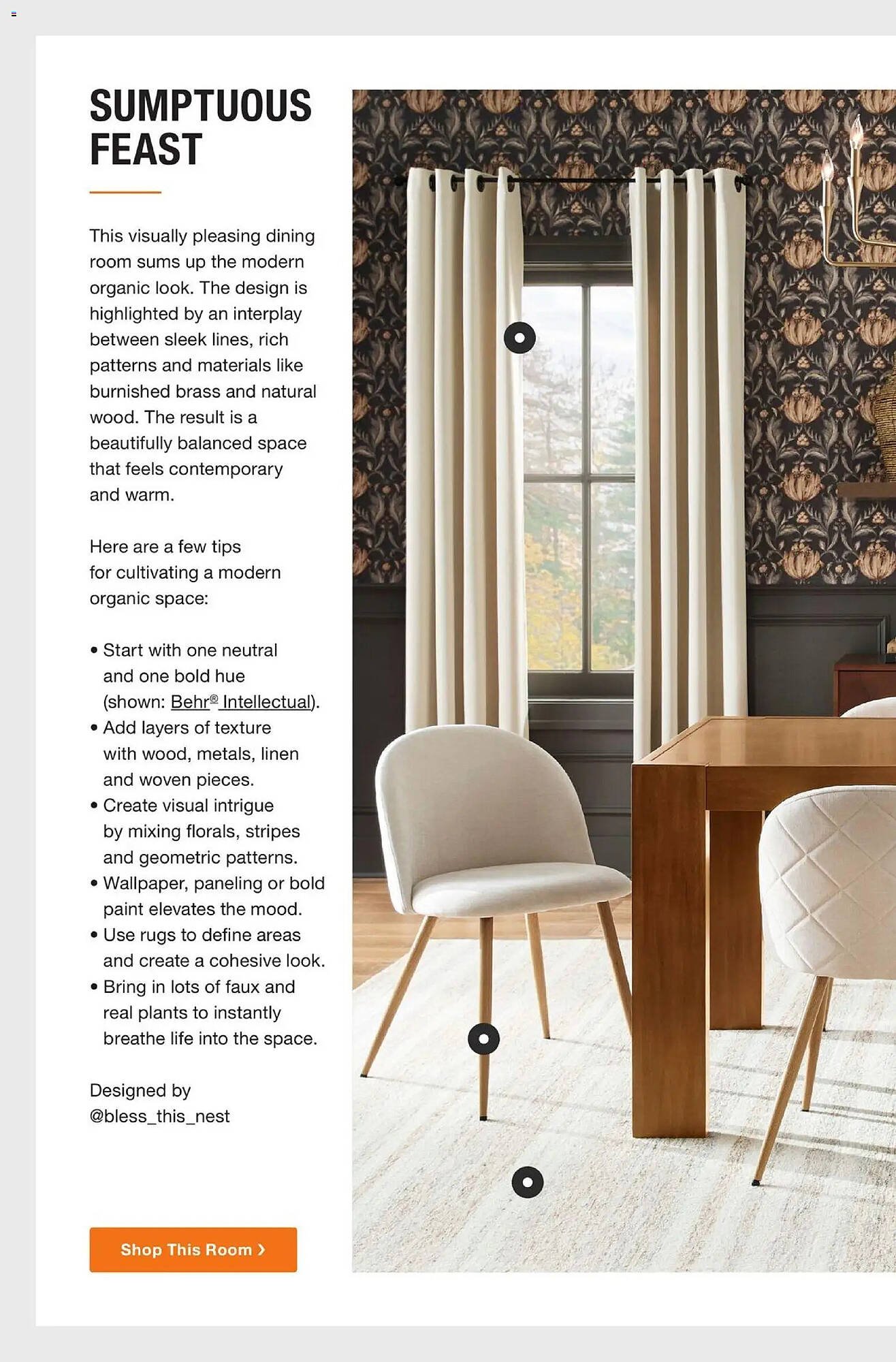 The Home Depot flyer