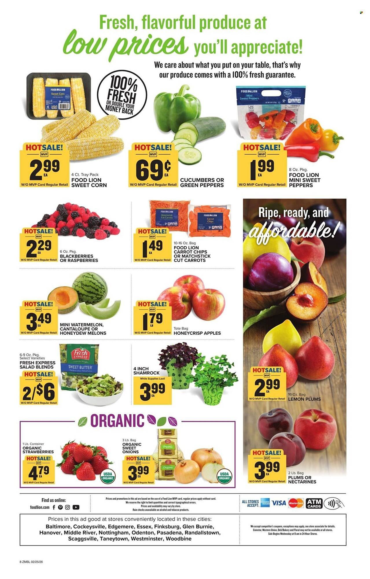 Food Lion weekly ad