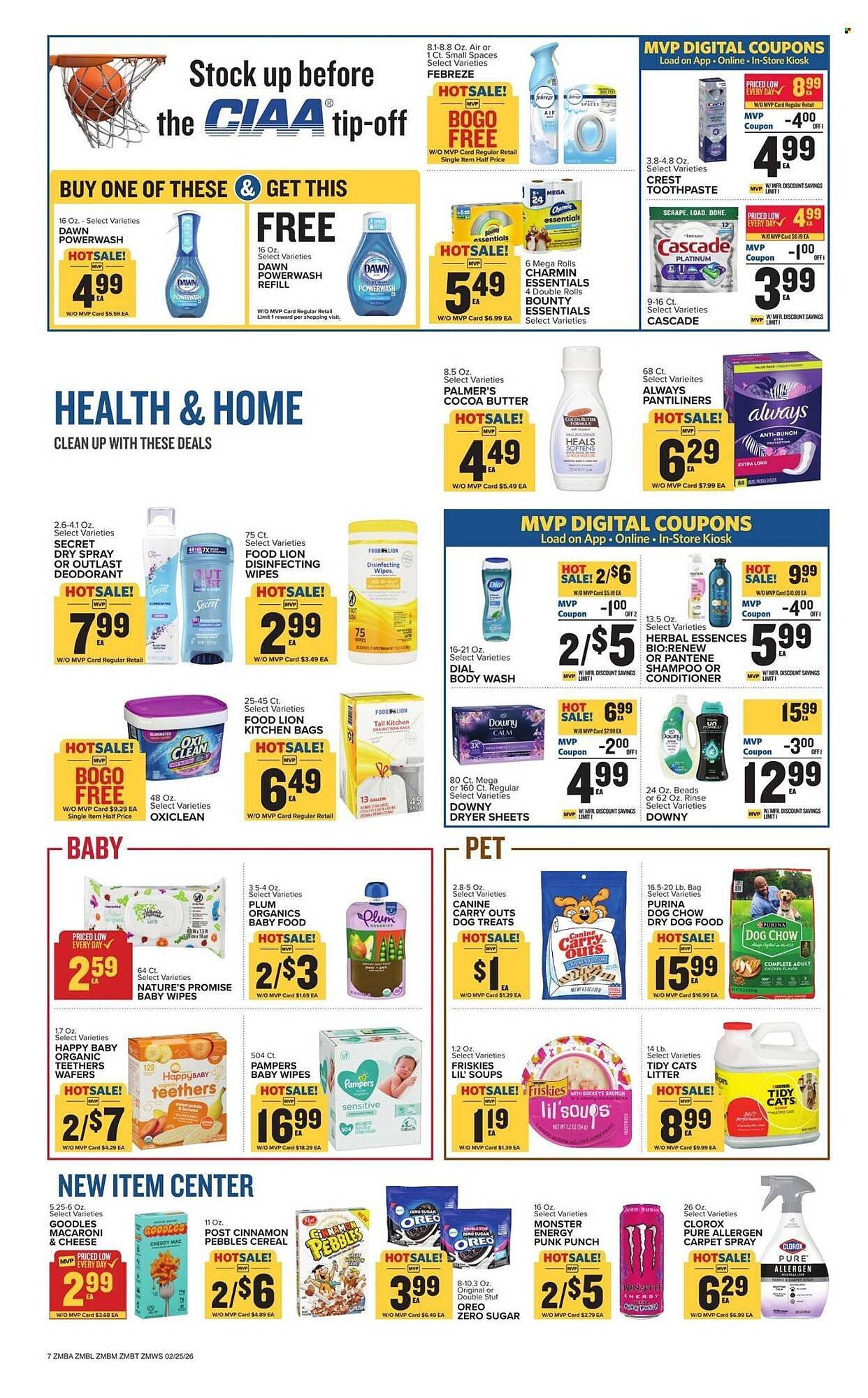 Food Lion weekly ad