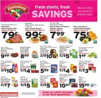 Hannaford flyer