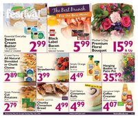Festival Foods weekly ad
