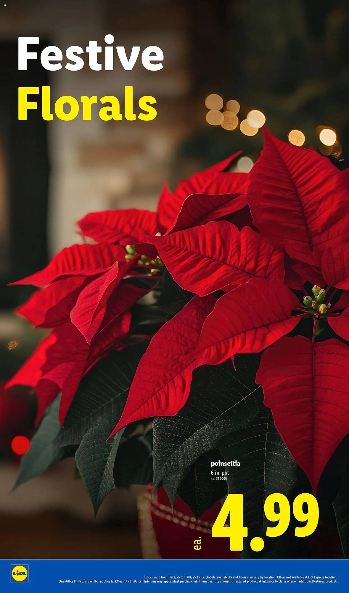 Lidl weekly ad (2025-11-12 - 2025-11-19) | 28