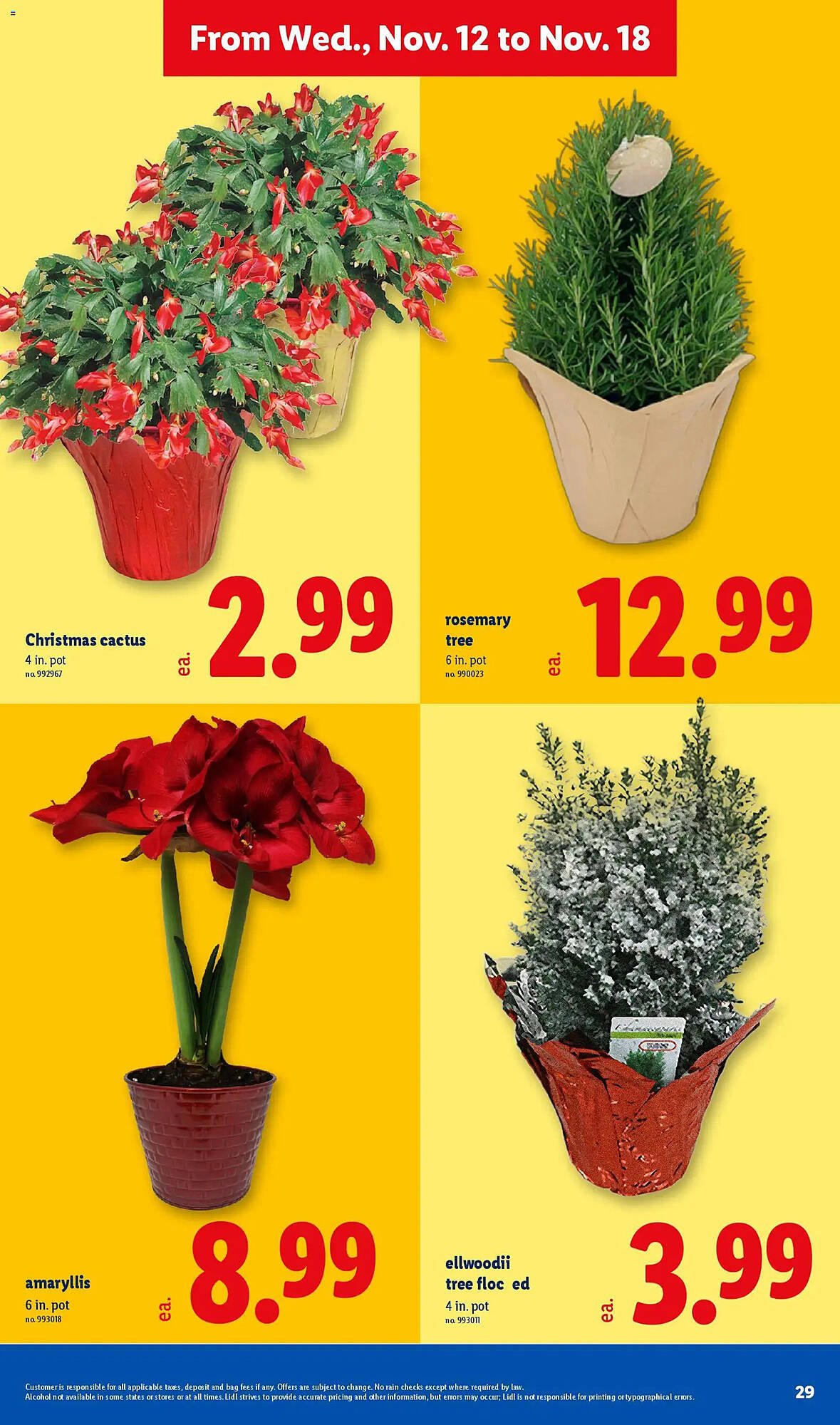 Lidl weekly ad (2025-11-12 - 2025-11-19) | 29