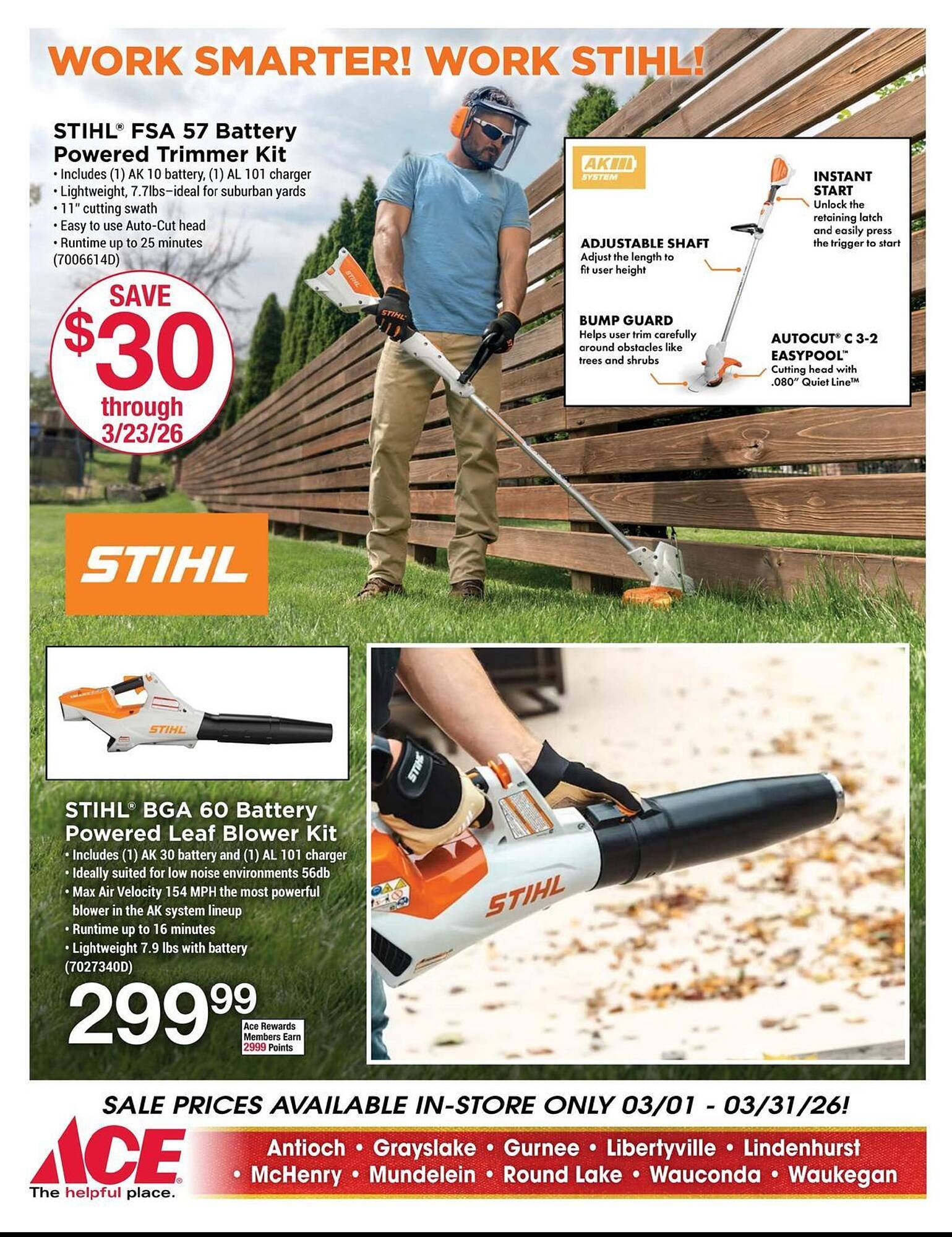 Ace Hardware flyer