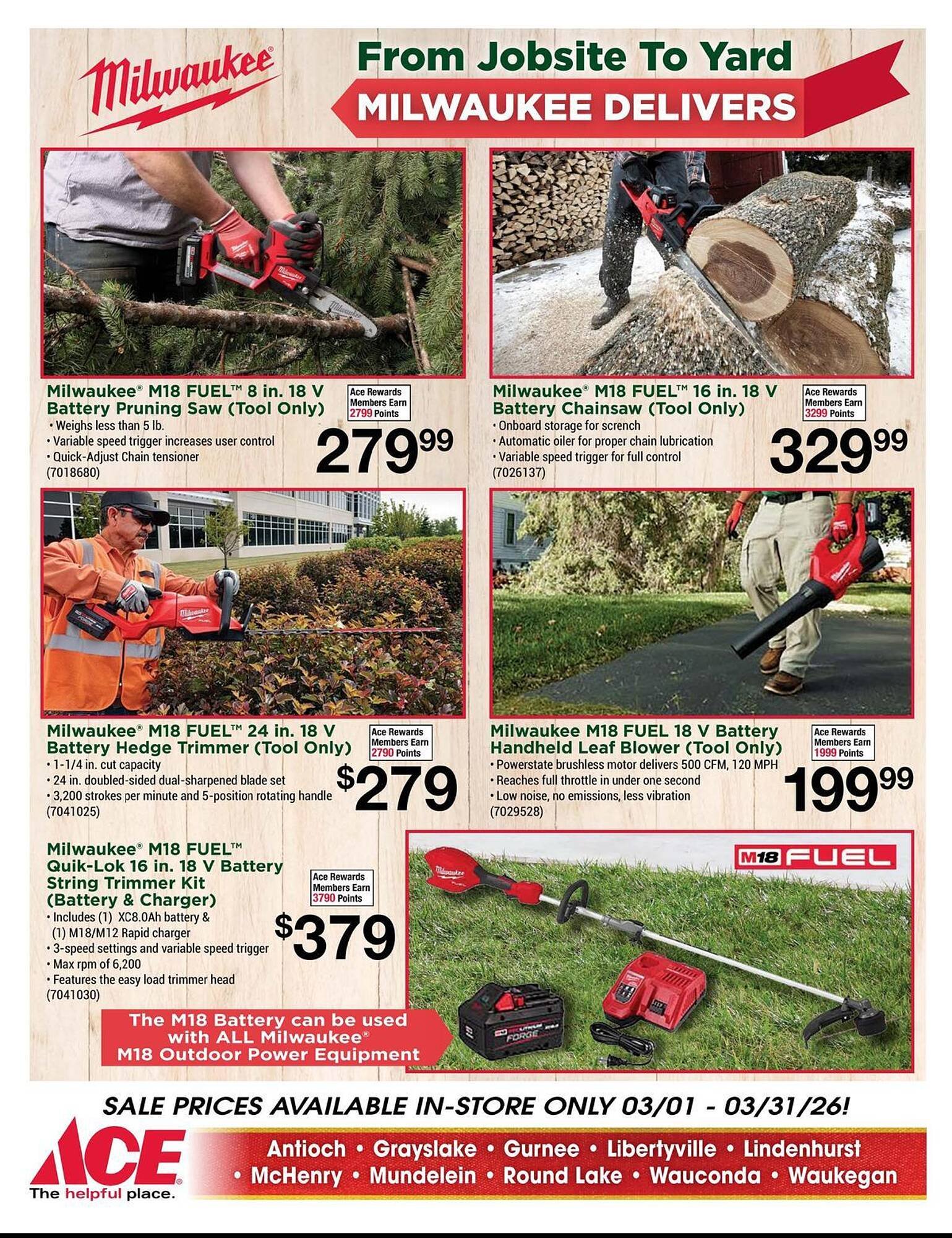 Ace Hardware flyer