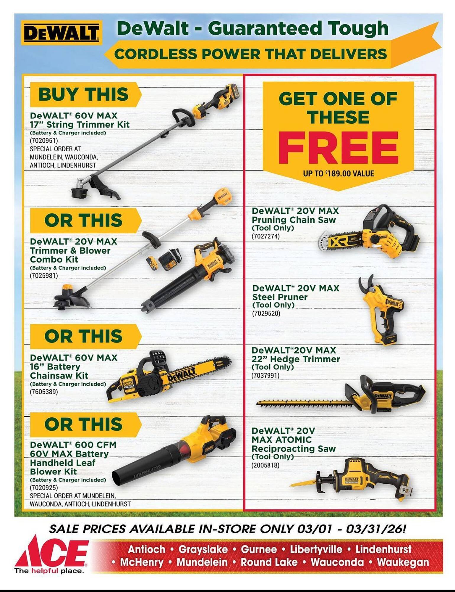 Ace Hardware flyer