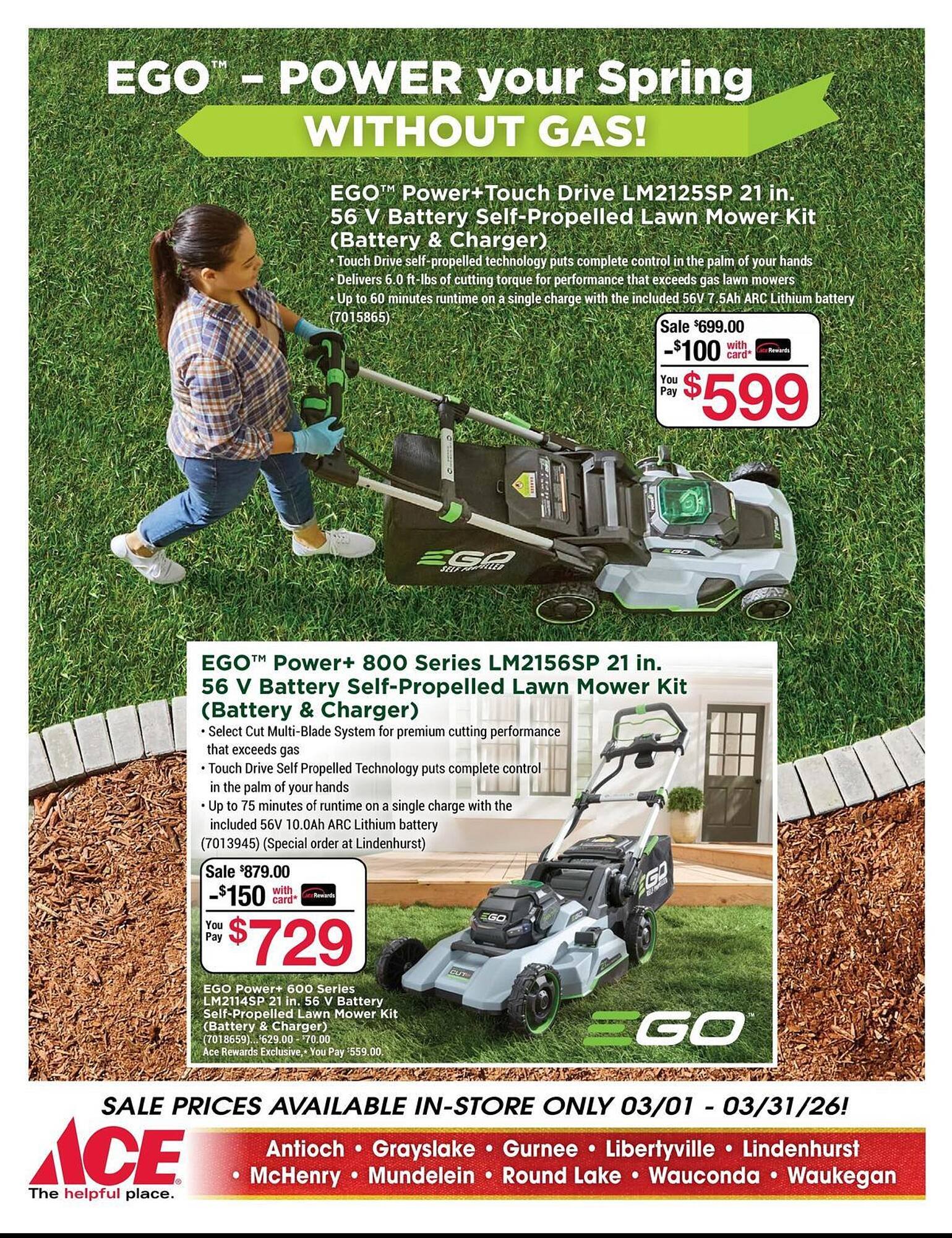 Ace Hardware flyer