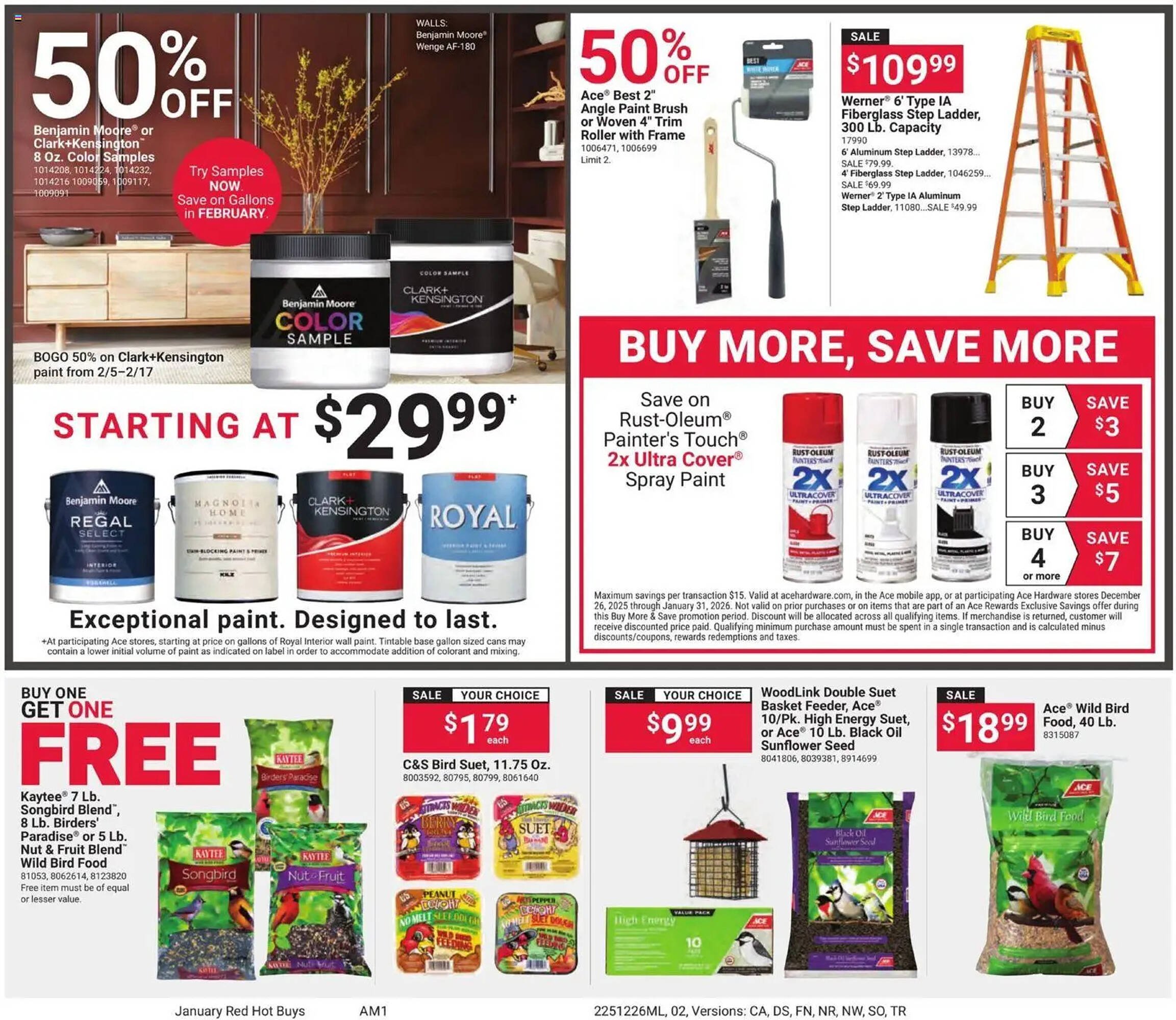 Ace Hardware flyer