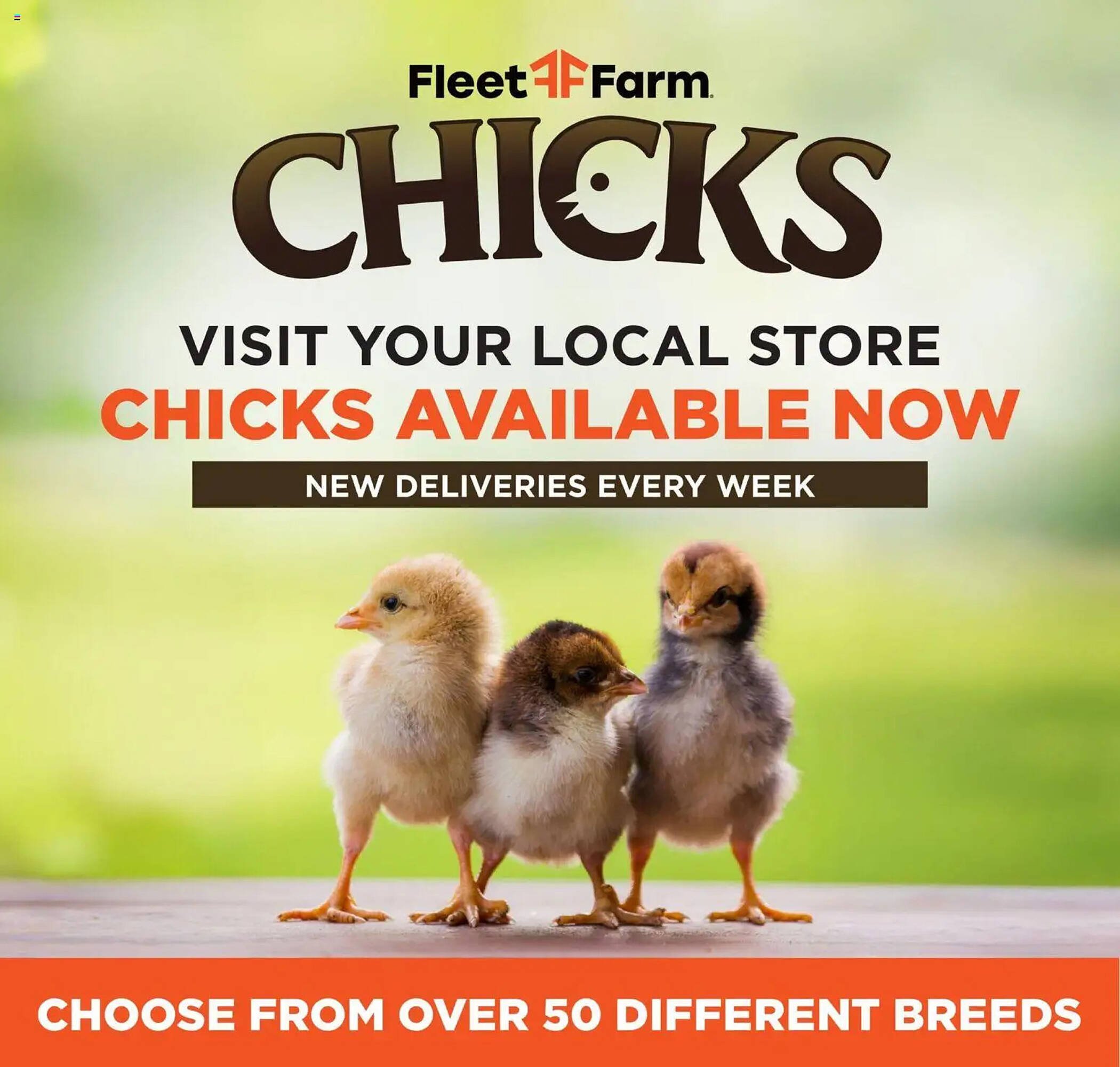Mills Fleet Farm weekly ad