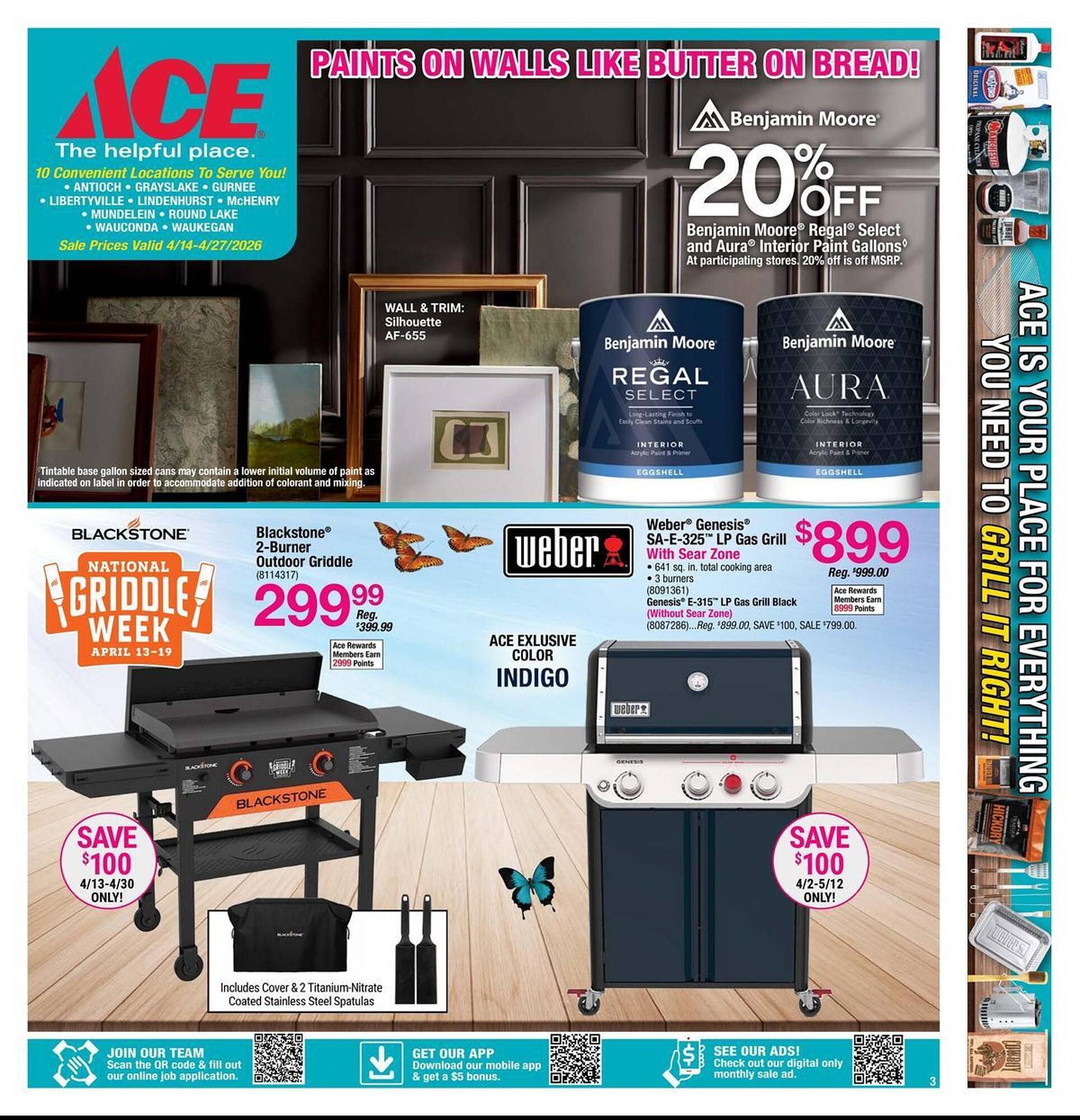 Ace Hardware flyer