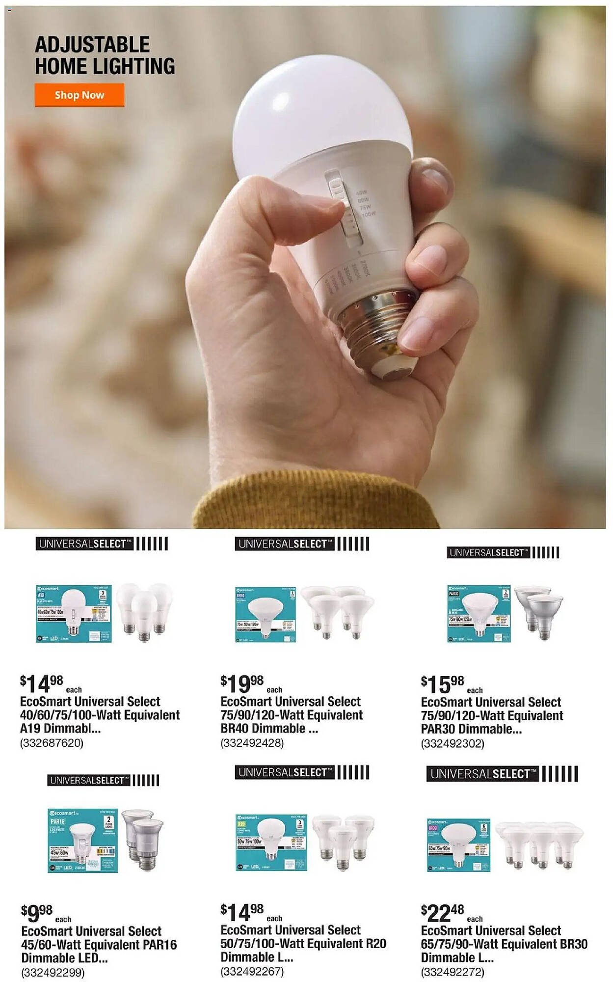 The Home Depot flyer