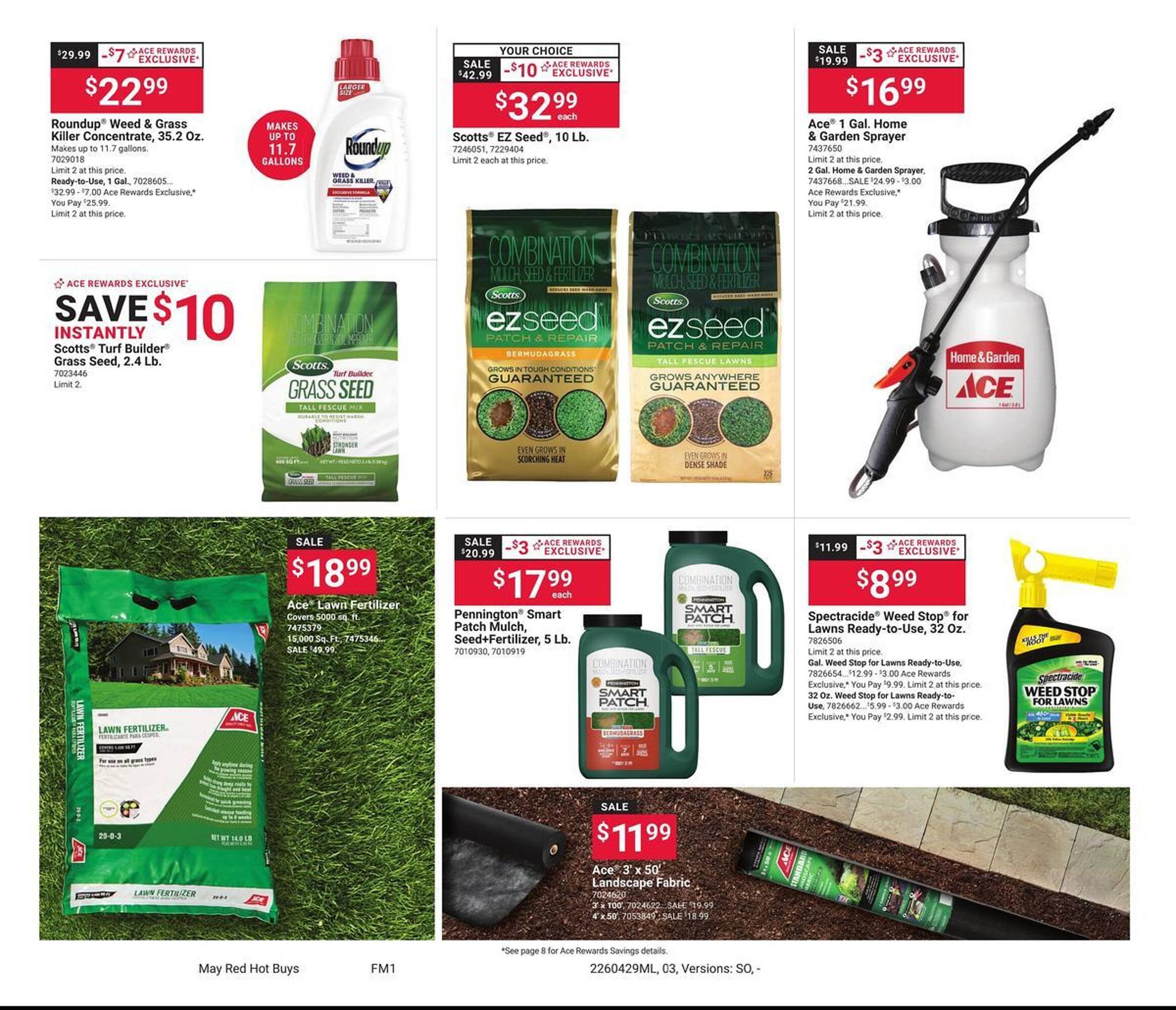 Ace Hardware flyer