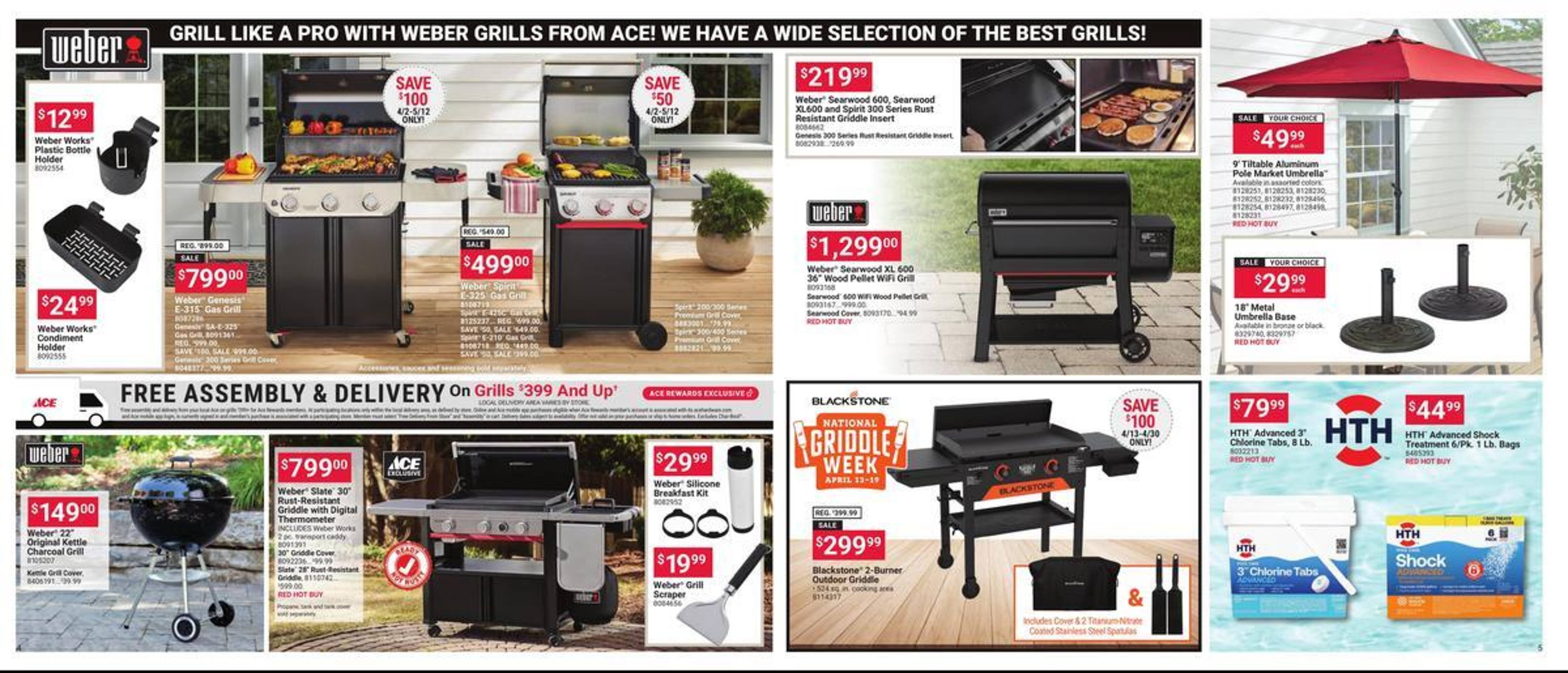 Ace Hardware flyer