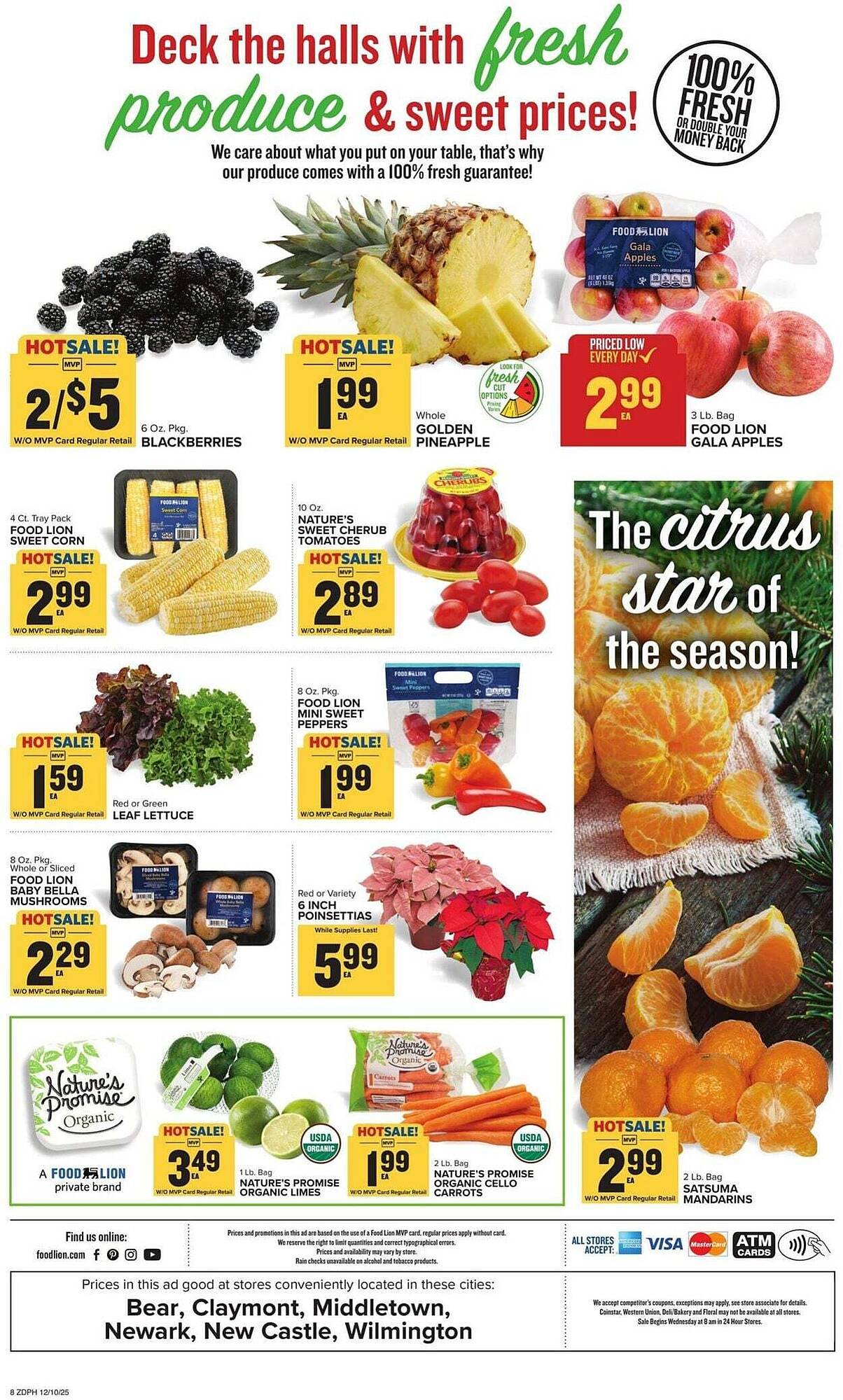 Food Lion weekly ad