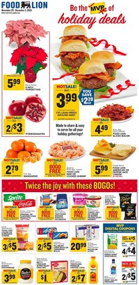 Food Lion weekly ad