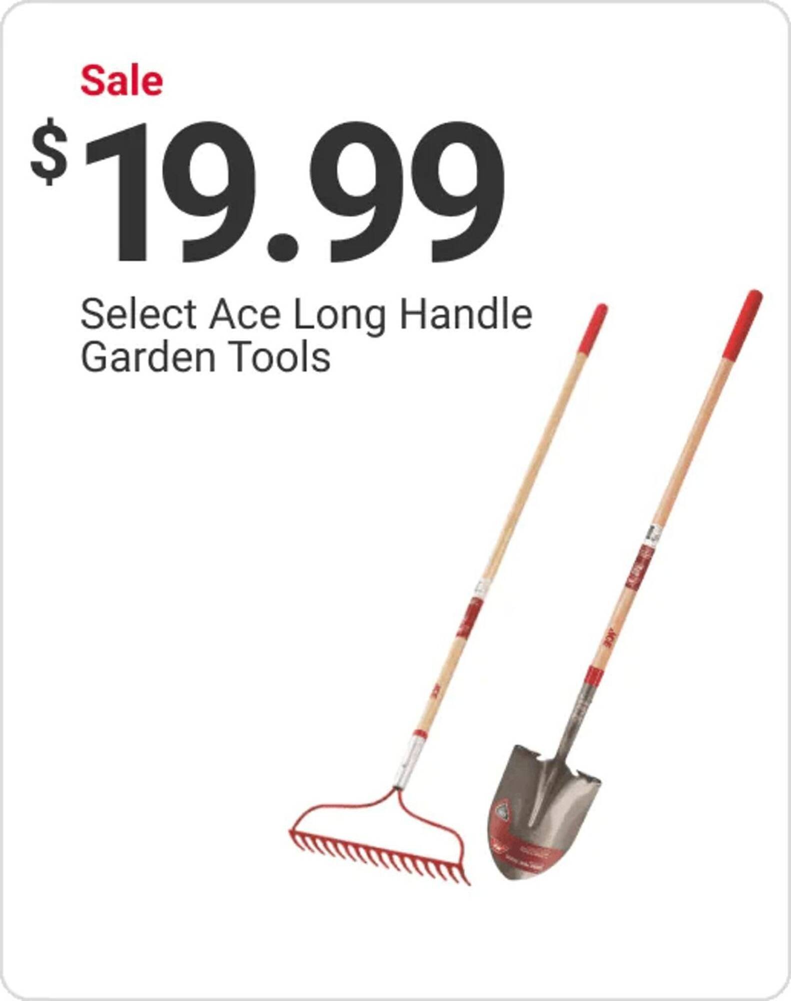 Ace Hardware flyer