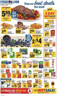 Food Lion weekly ad