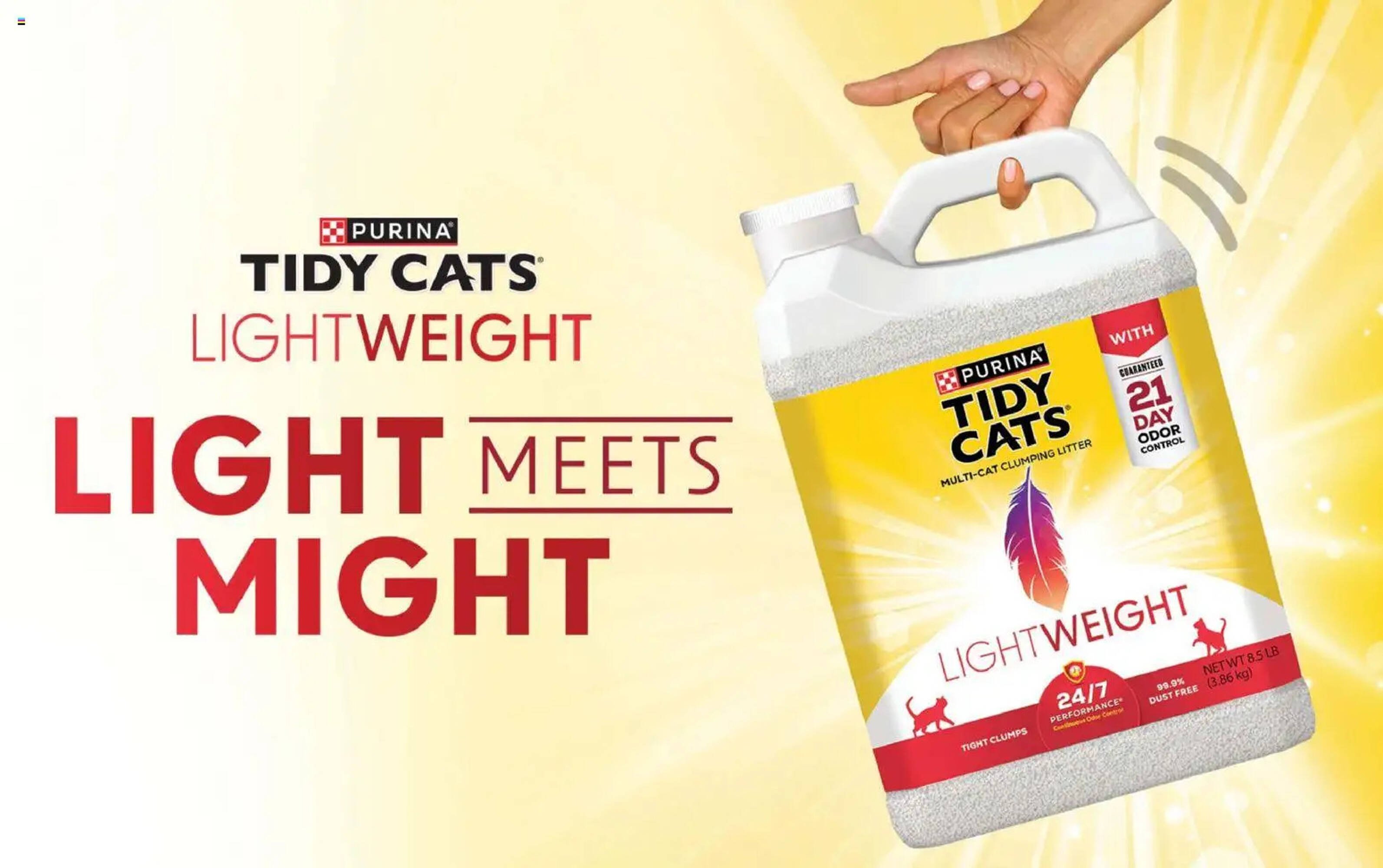 Family Fare weekly ad