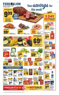 Food Lion weekly ad