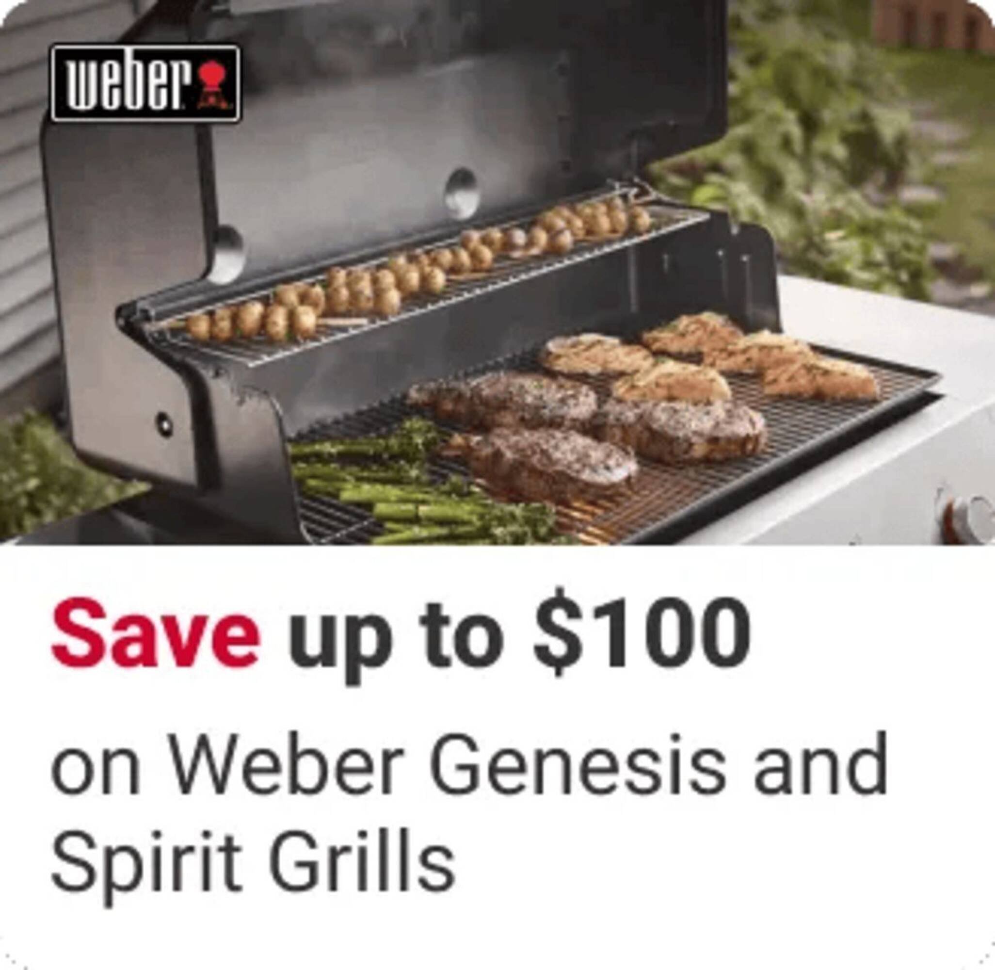 Ace Hardware flyer