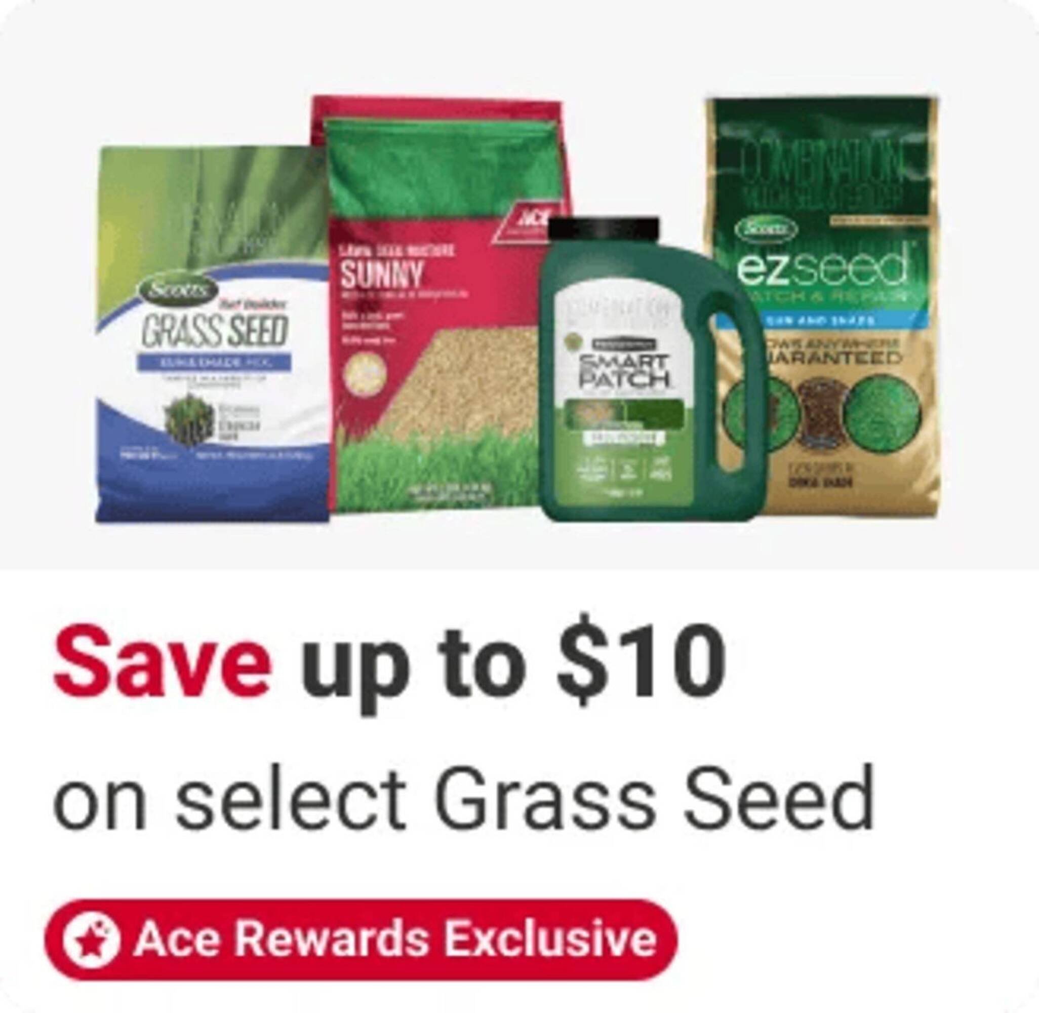 Ace Hardware flyer
