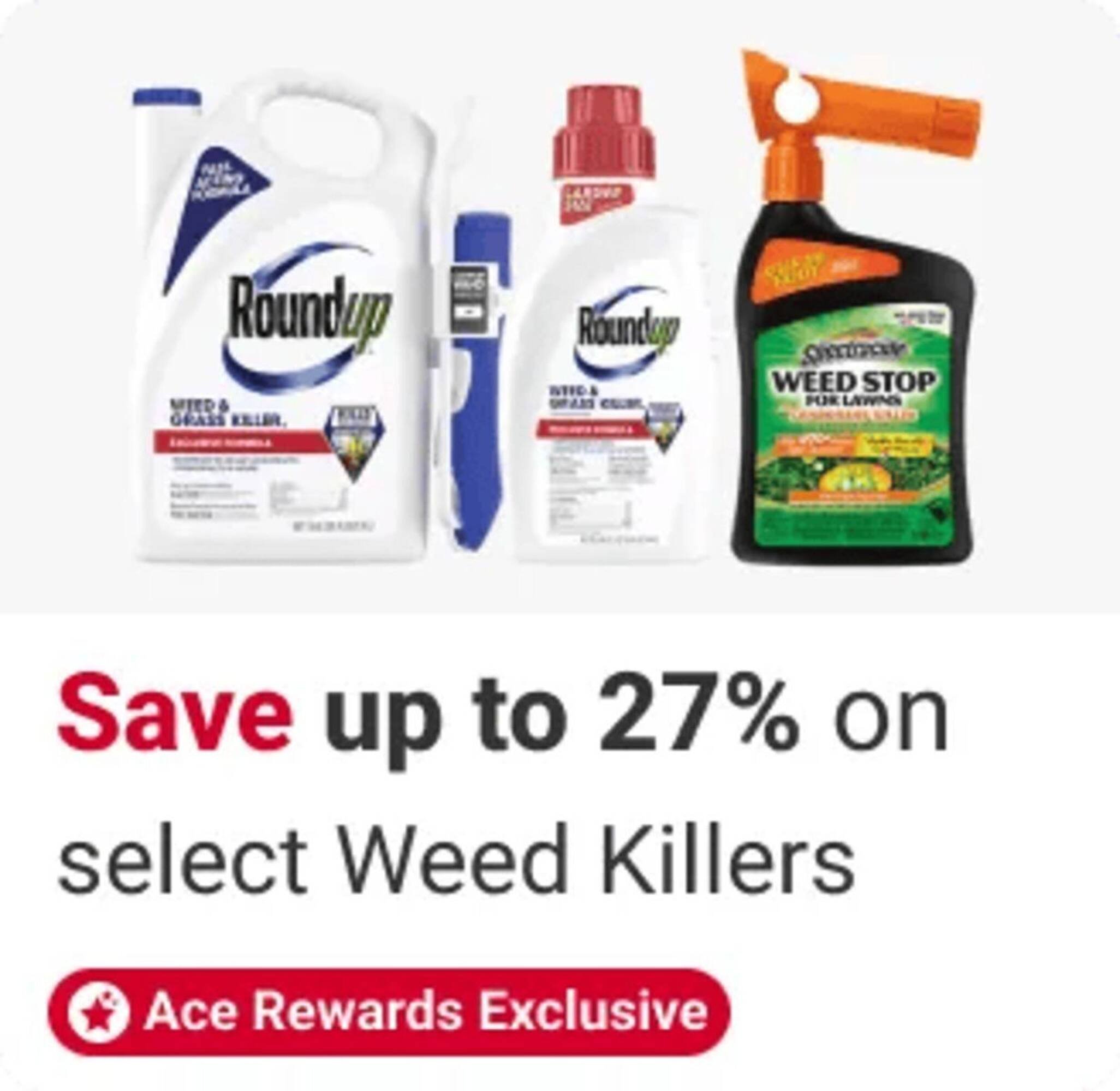 Ace Hardware flyer