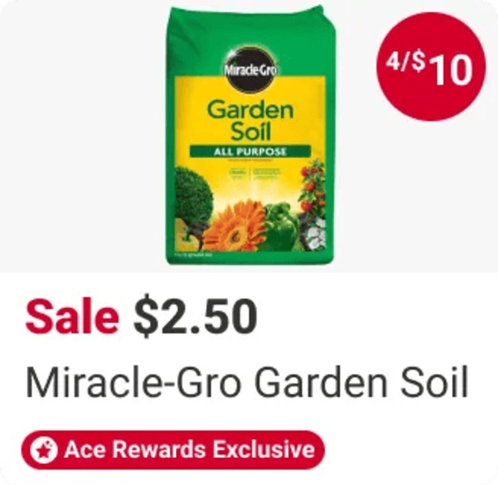 Ace Hardware flyer