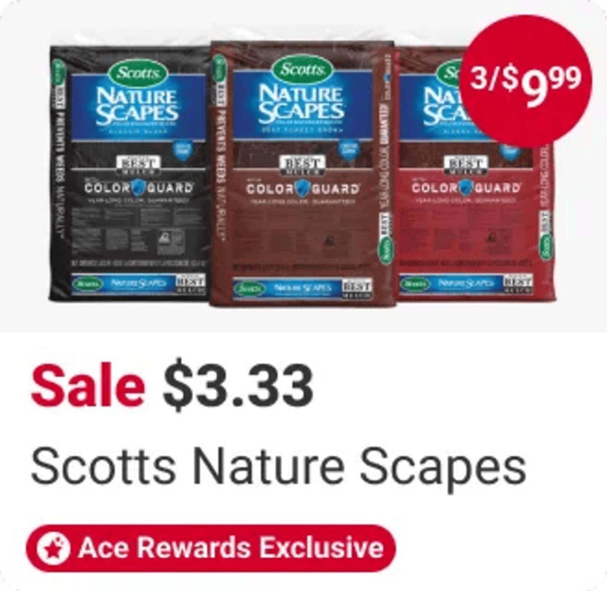 Ace Hardware flyer