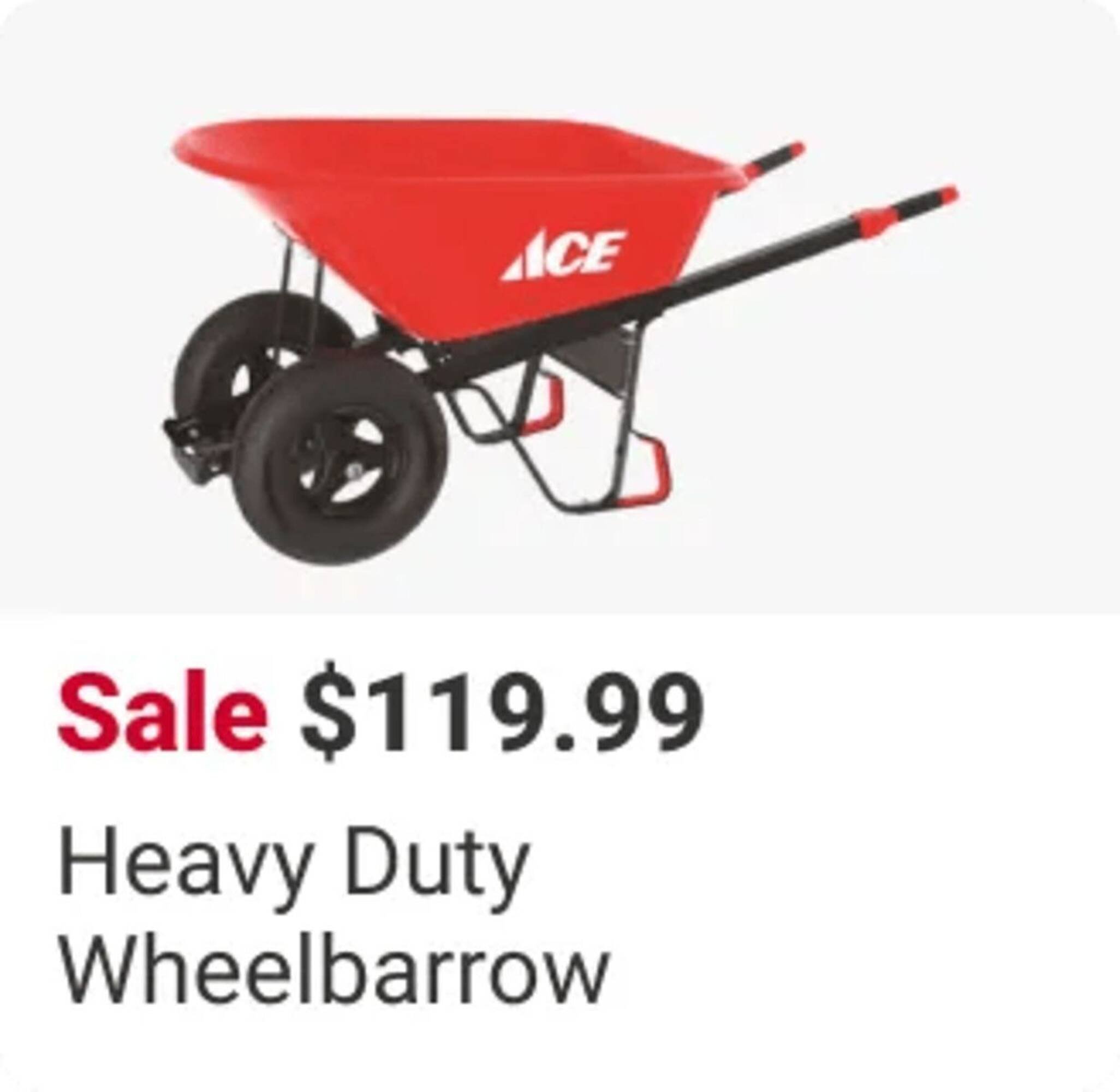 Ace Hardware flyer