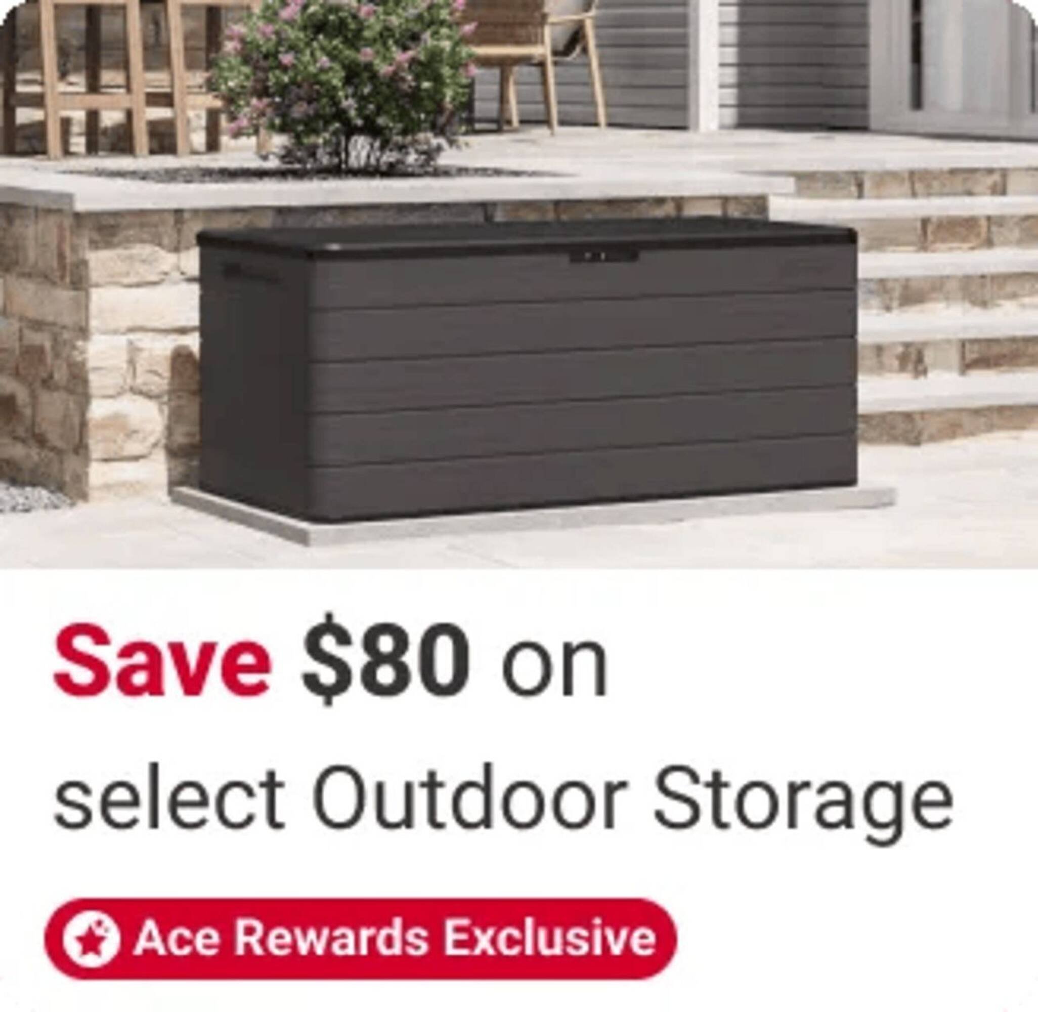 Ace Hardware flyer