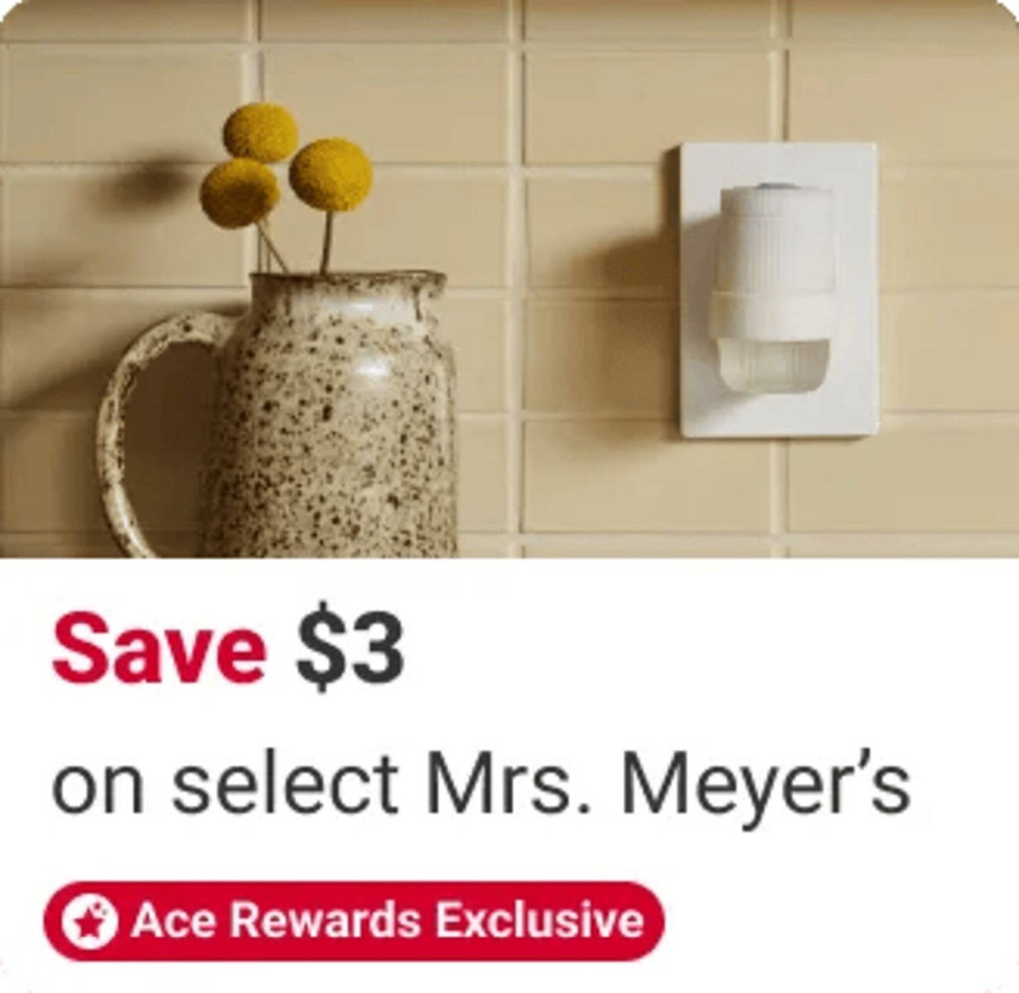 Ace Hardware flyer