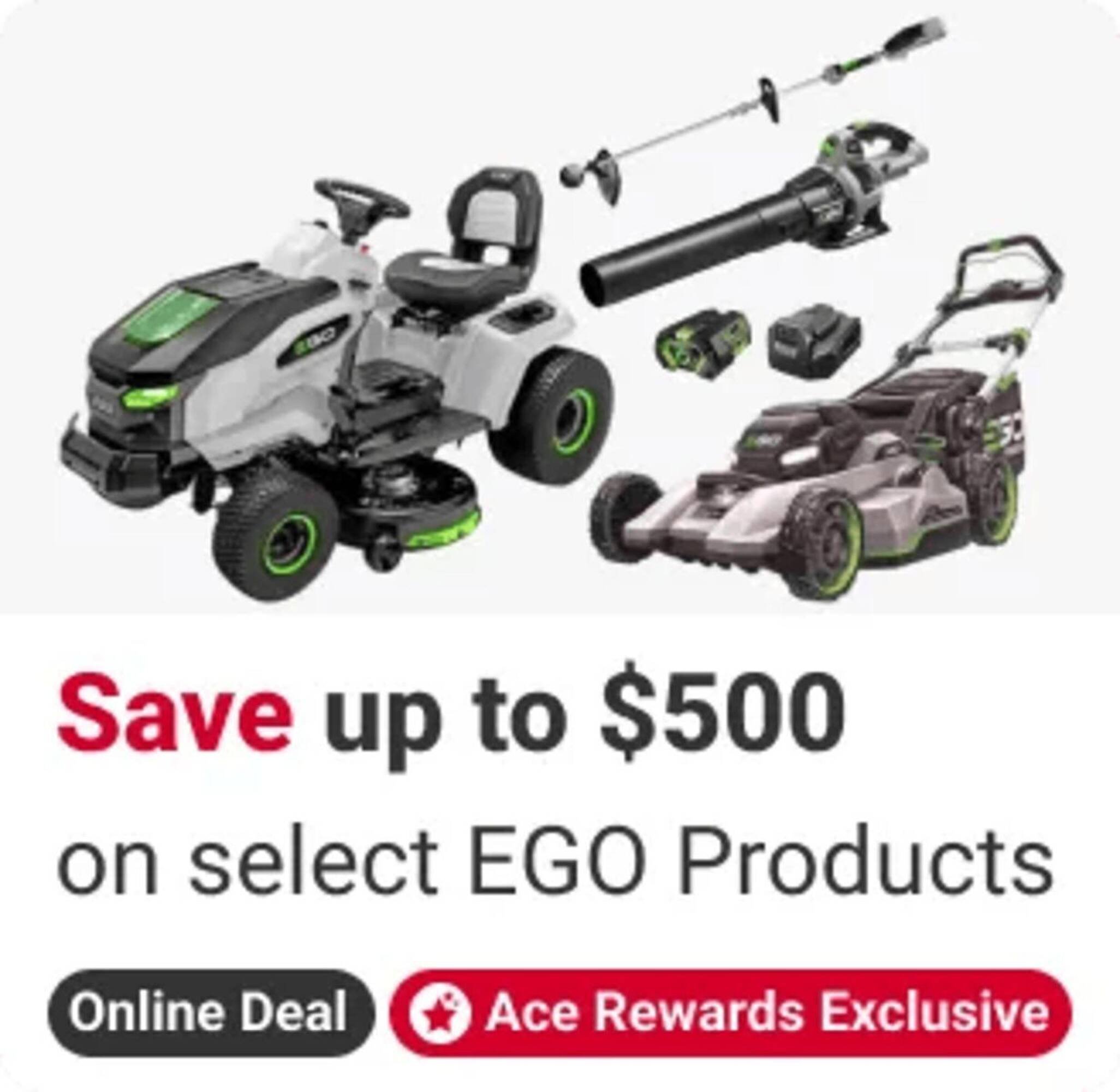 Ace Hardware flyer