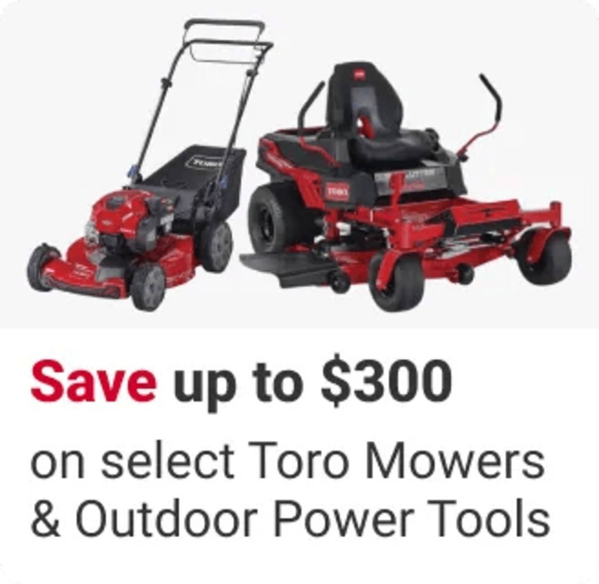 Ace Hardware flyer