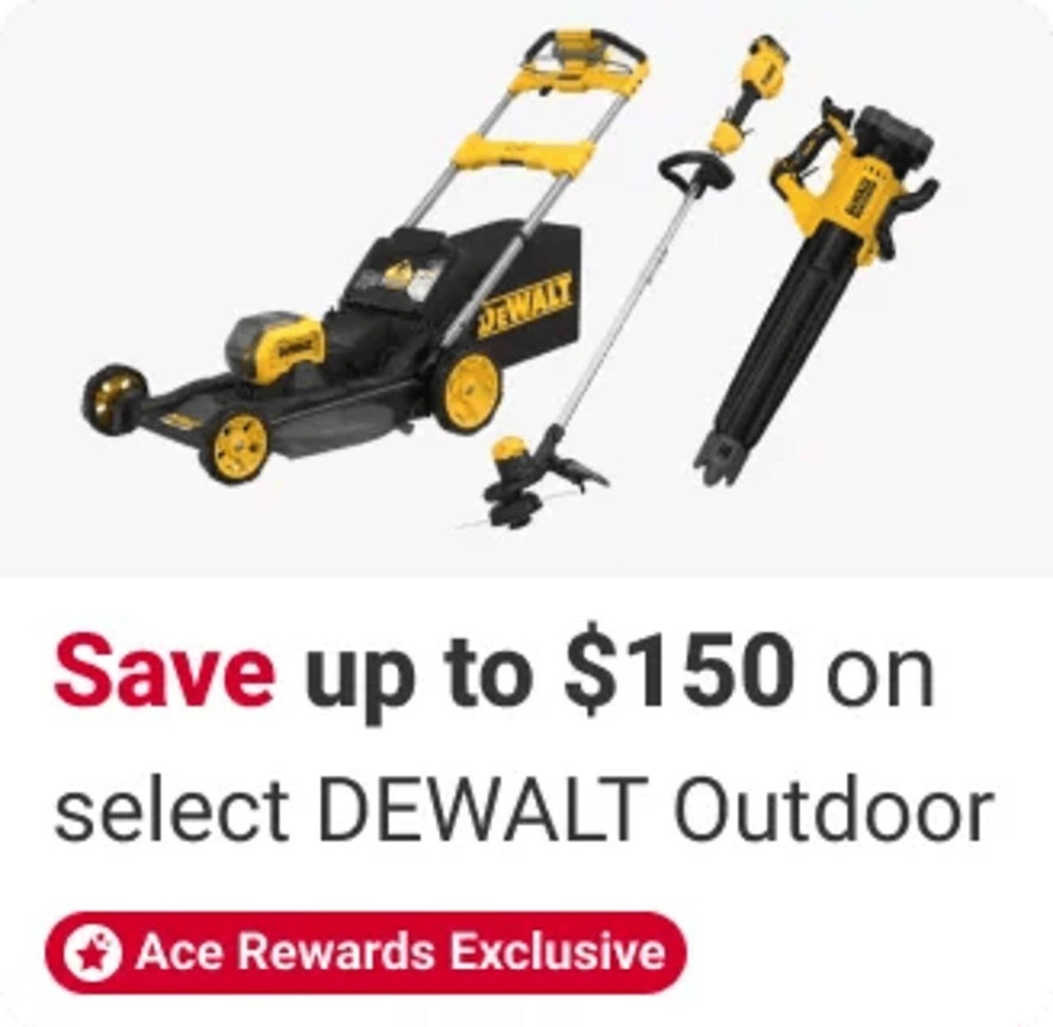 Ace Hardware flyer