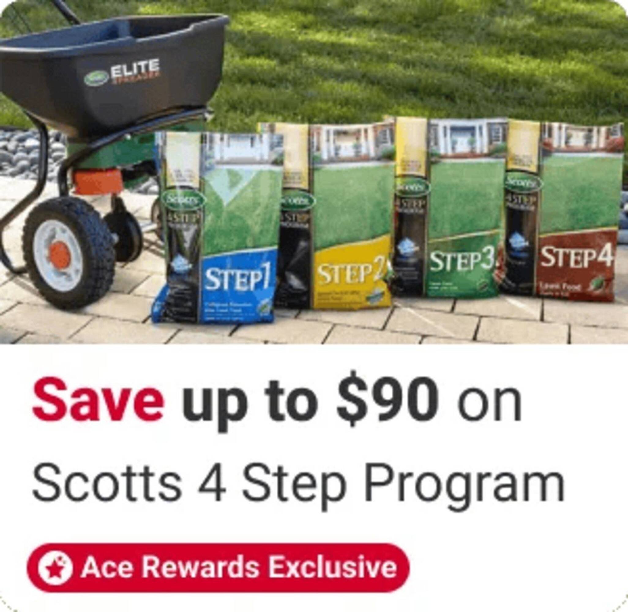 Ace Hardware flyer