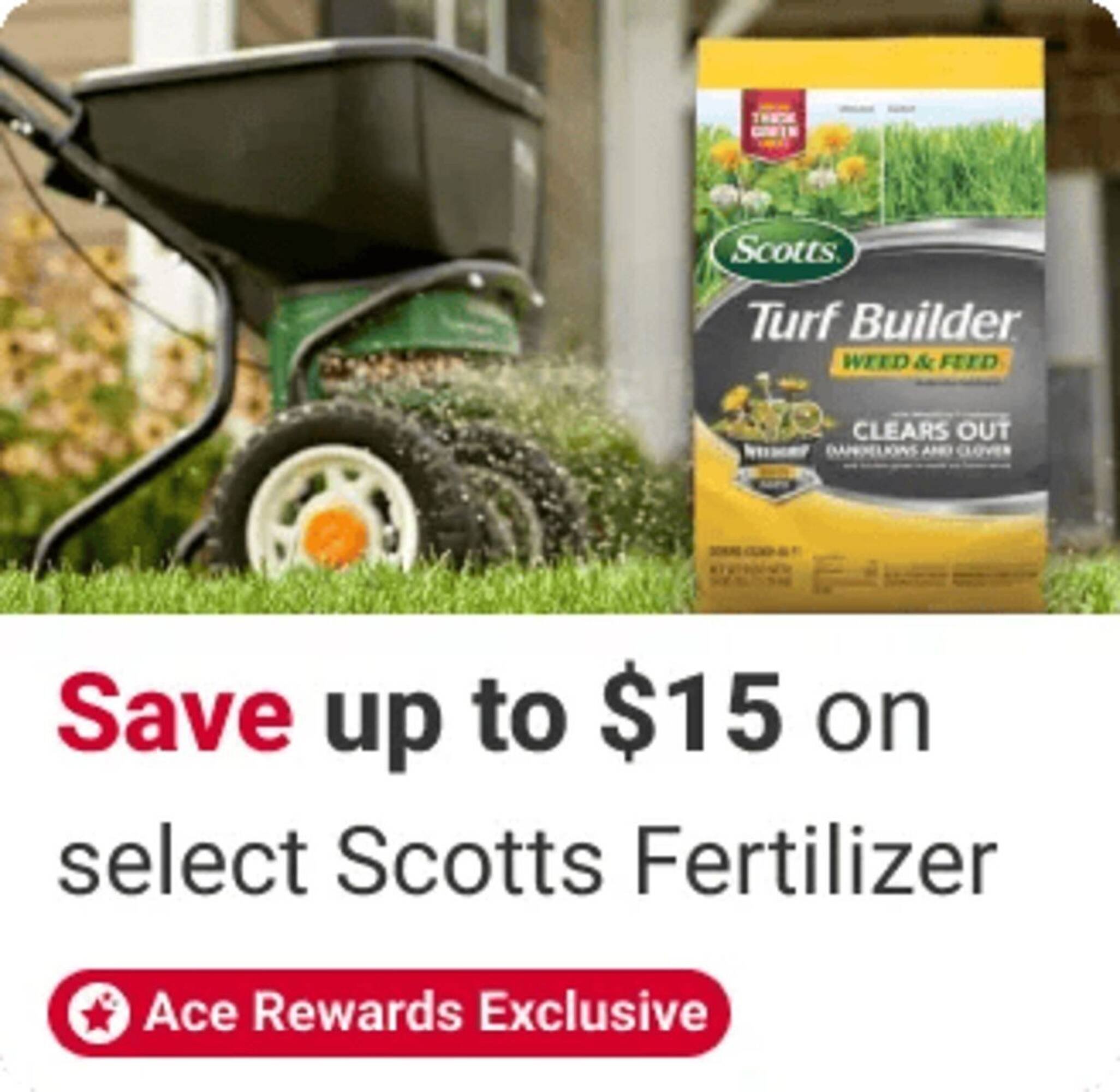 Ace Hardware flyer