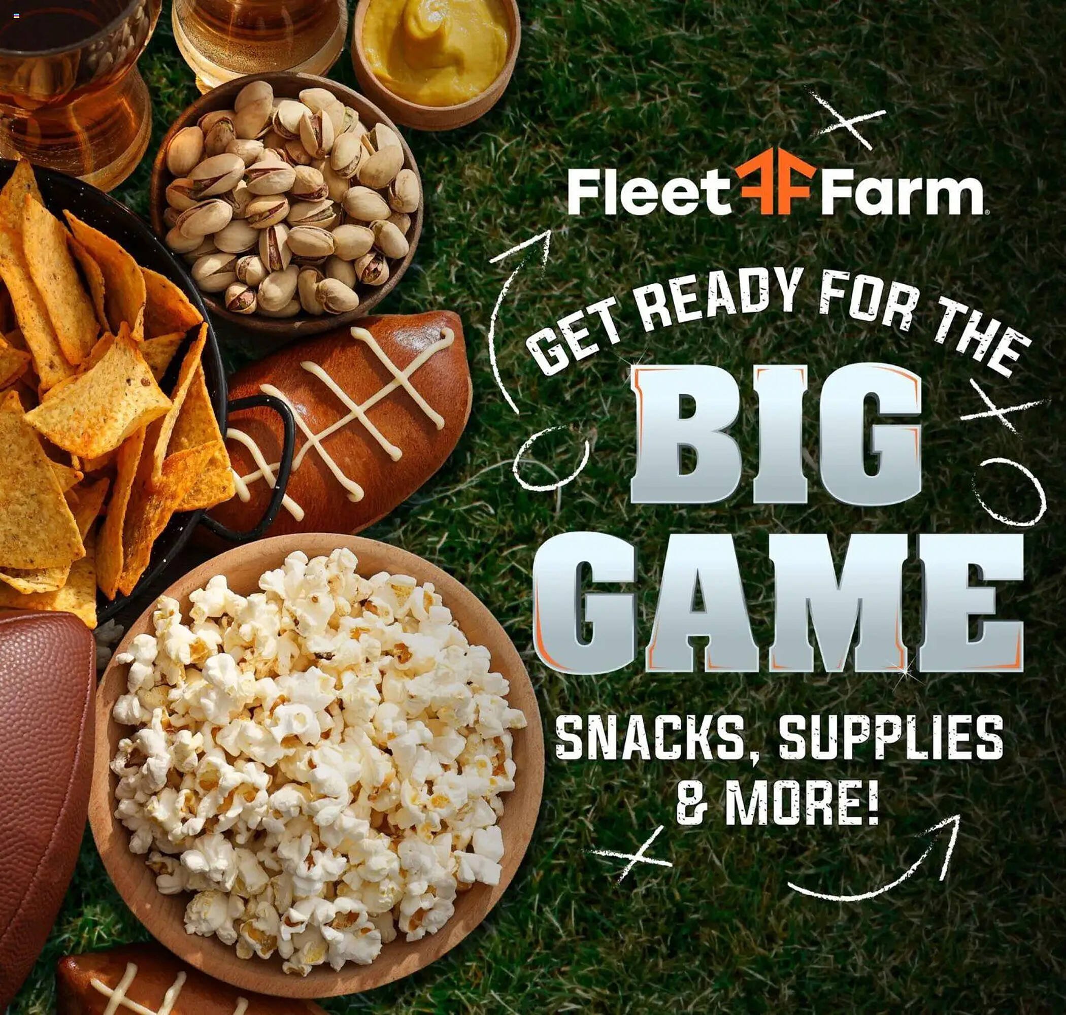 Mills Fleet Farm weekly ad