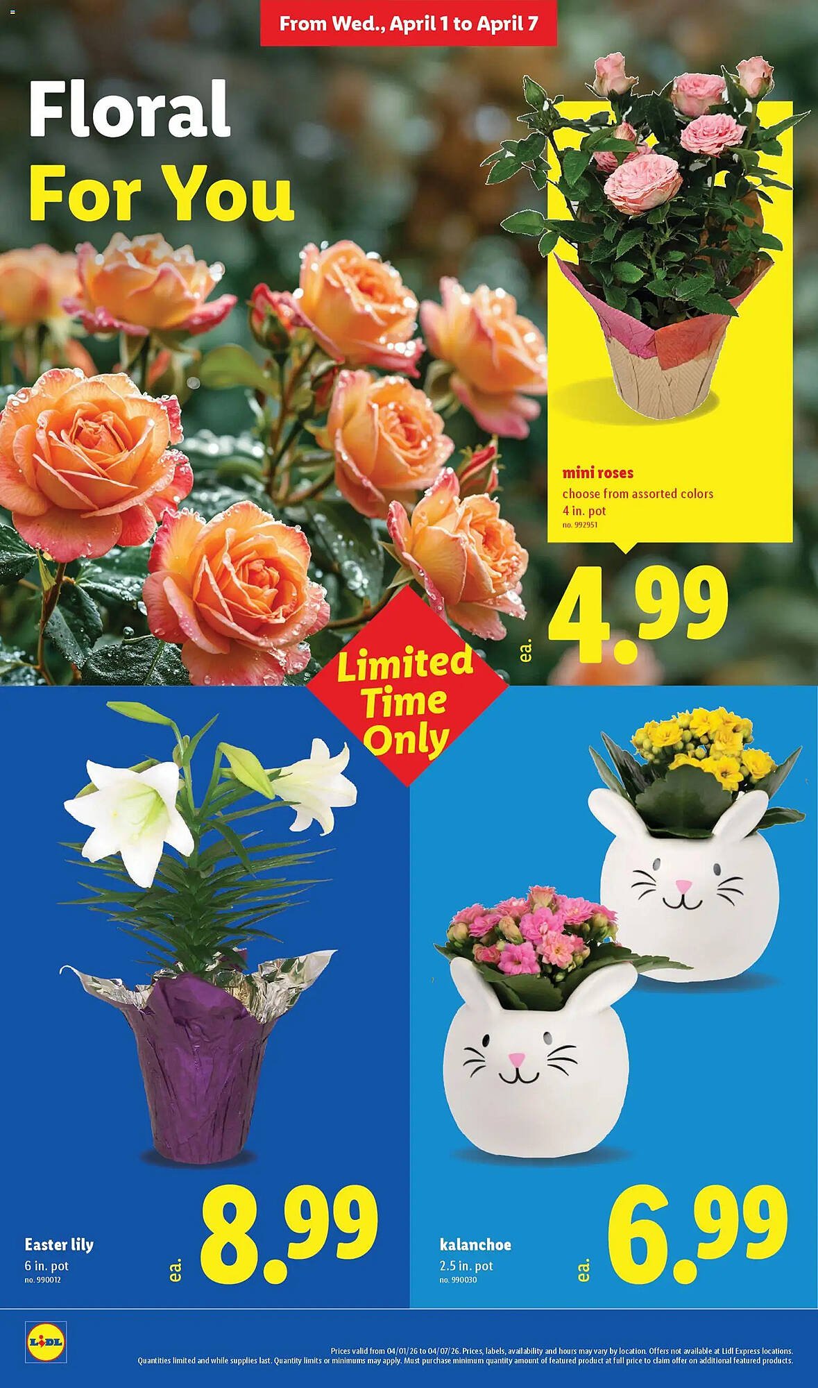 Lidl weekly ad