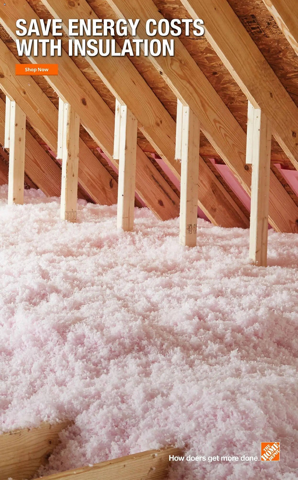 The Home Depot flyer