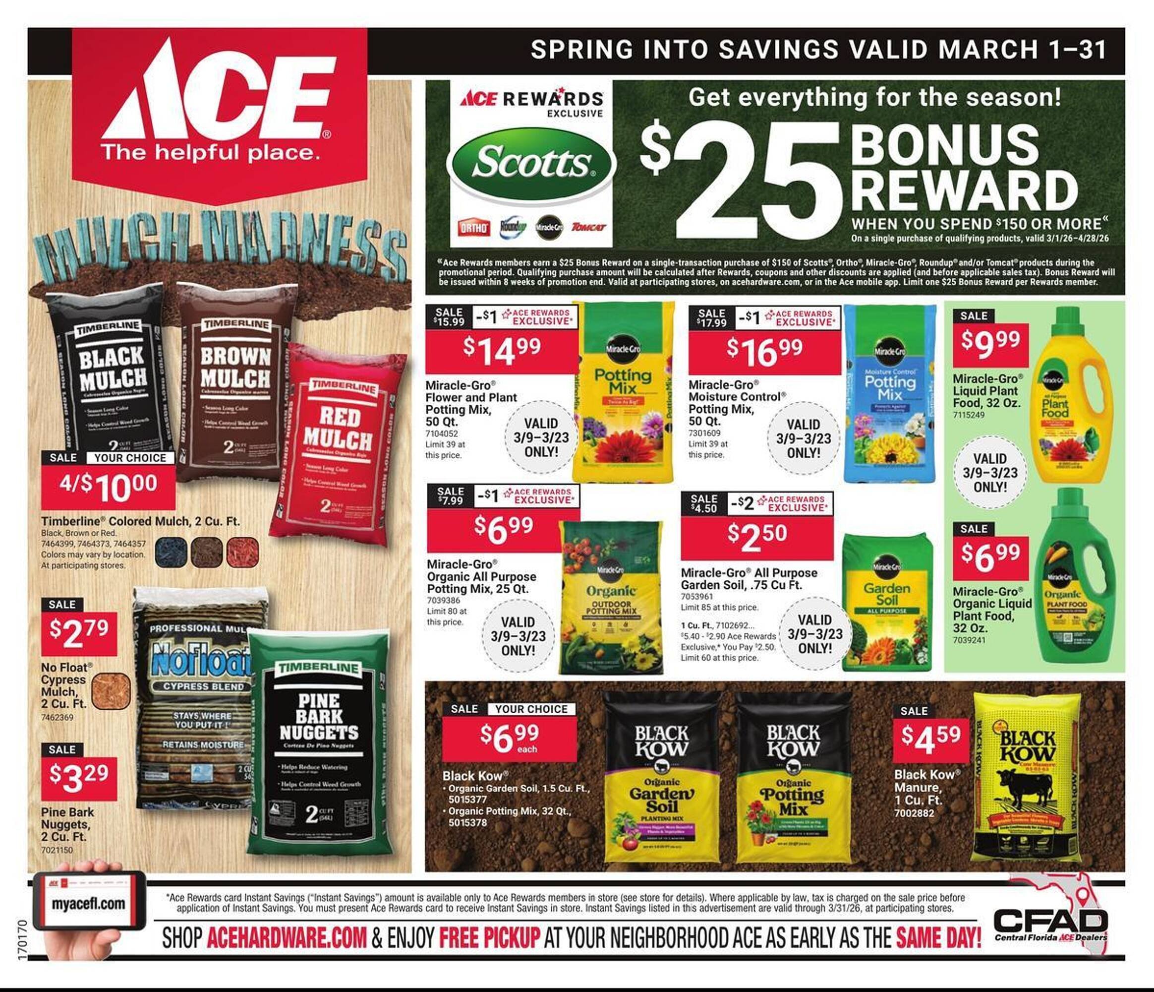 Ace Hardware flyer