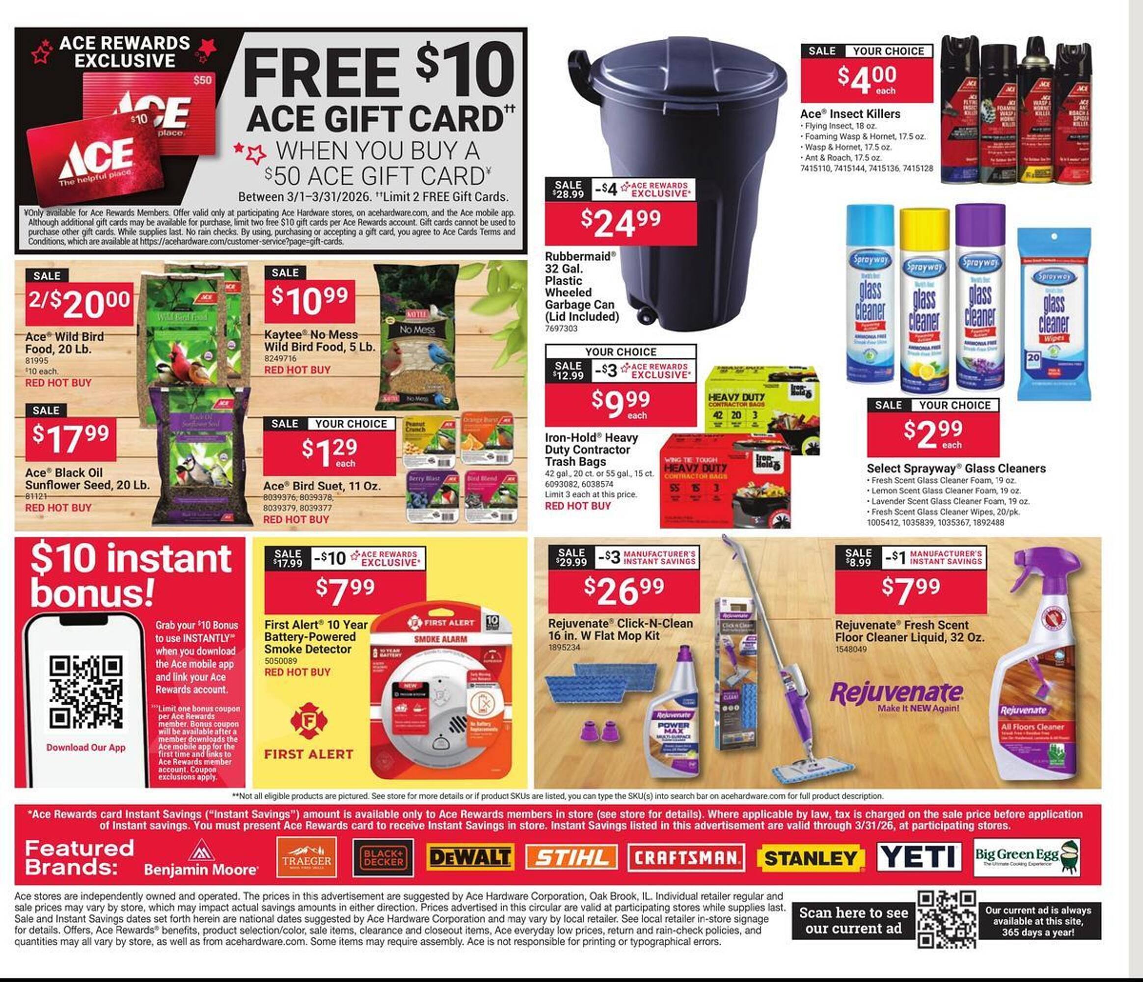 Ace Hardware flyer