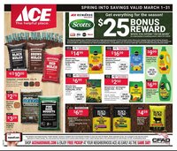 Ace Hardware flyer