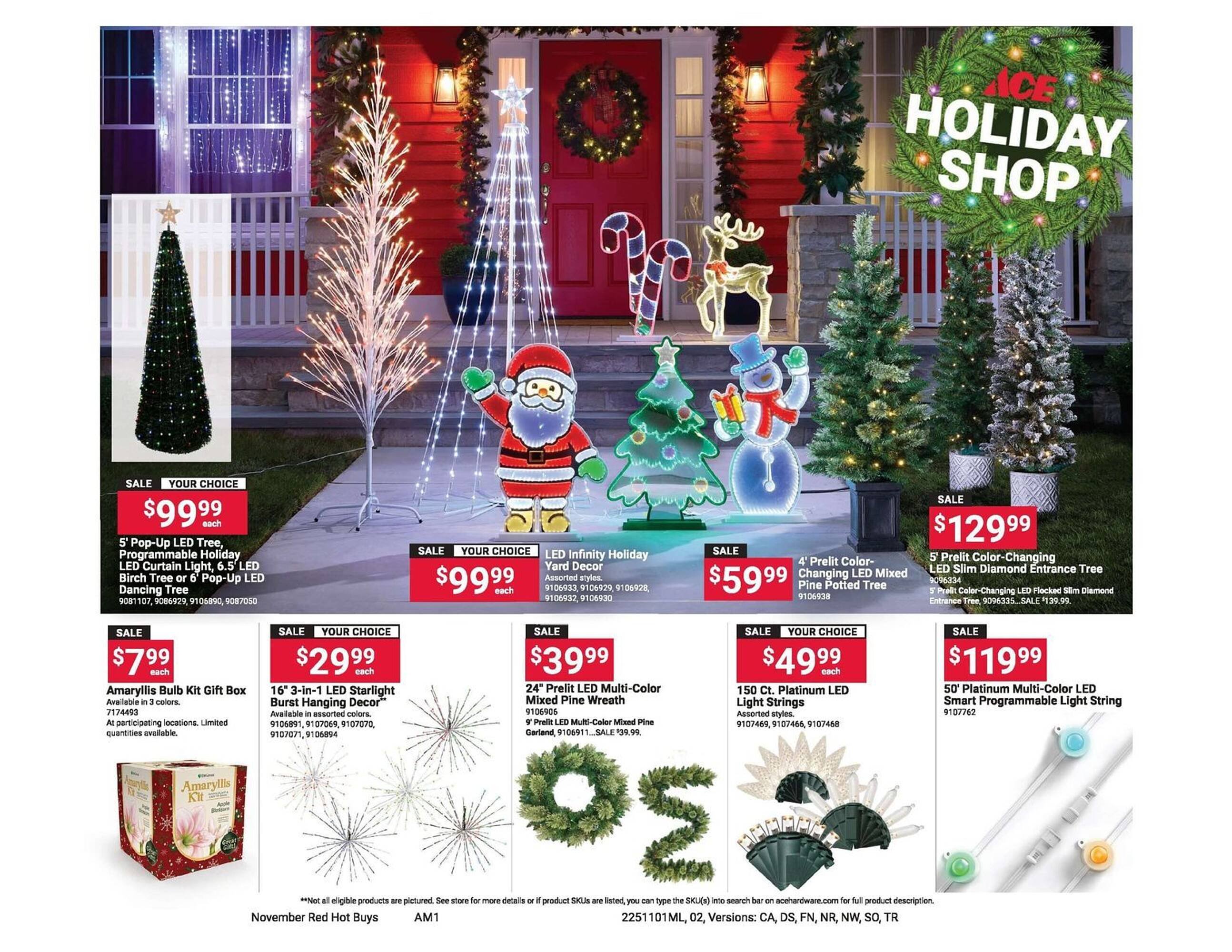 Ace Hardware flyer (2025-11-01 - 2025-12-01) | 2