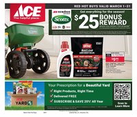 Ace Hardware flyer