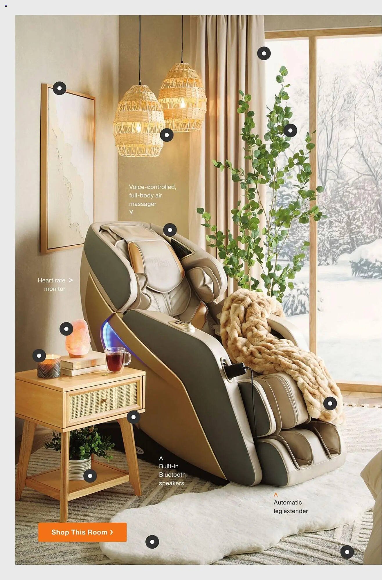 The Home Depot flyer